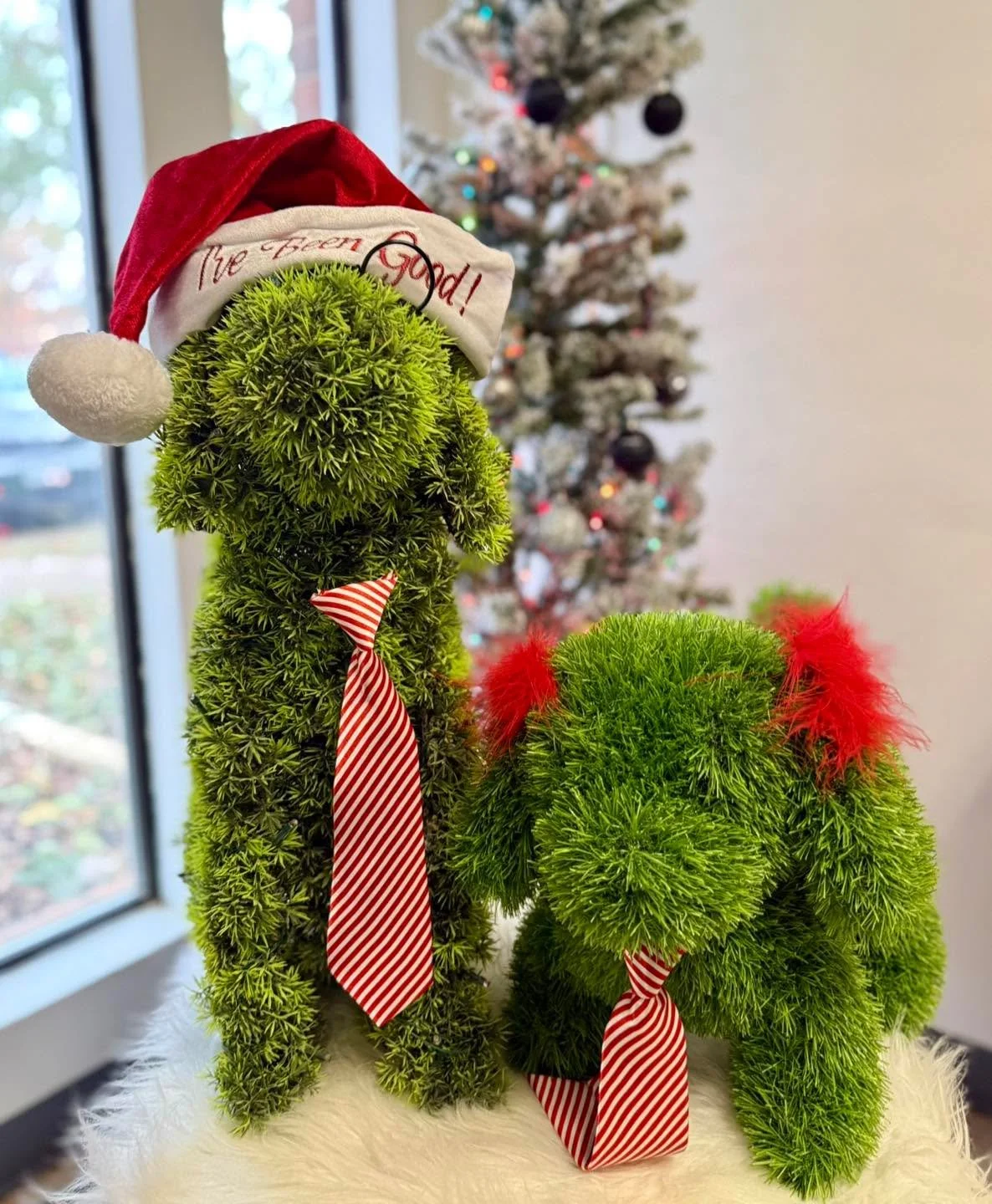 Merry Christmas!! 🎄