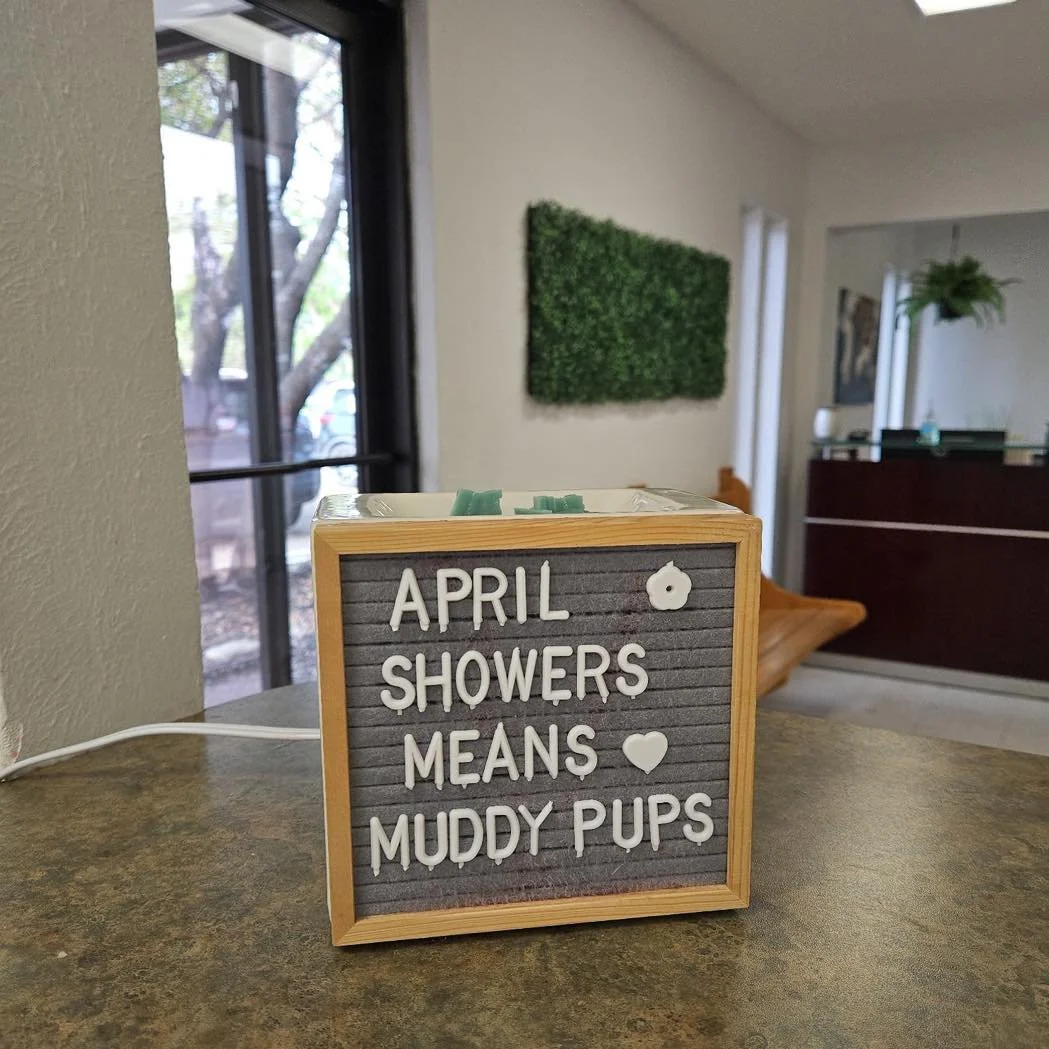 We can help with those muddy paws 🐾 💚