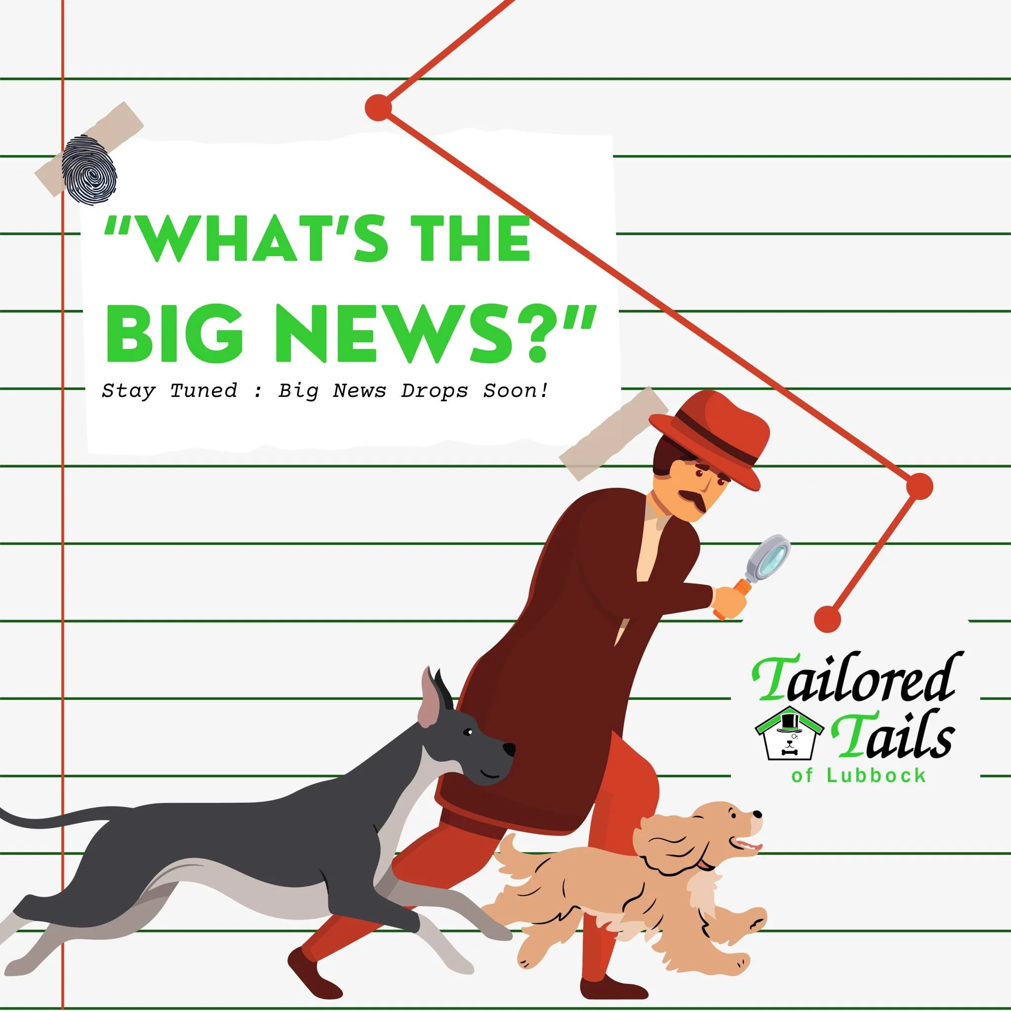 We keep getting asked: "What's the big news?!" 😂 All we can say is... MORE dogs are about to get the Tailored Tails experience. More of that no-muzzle, no-restraint, holistic grooming that Lubbock deserves. More of our certified team doing