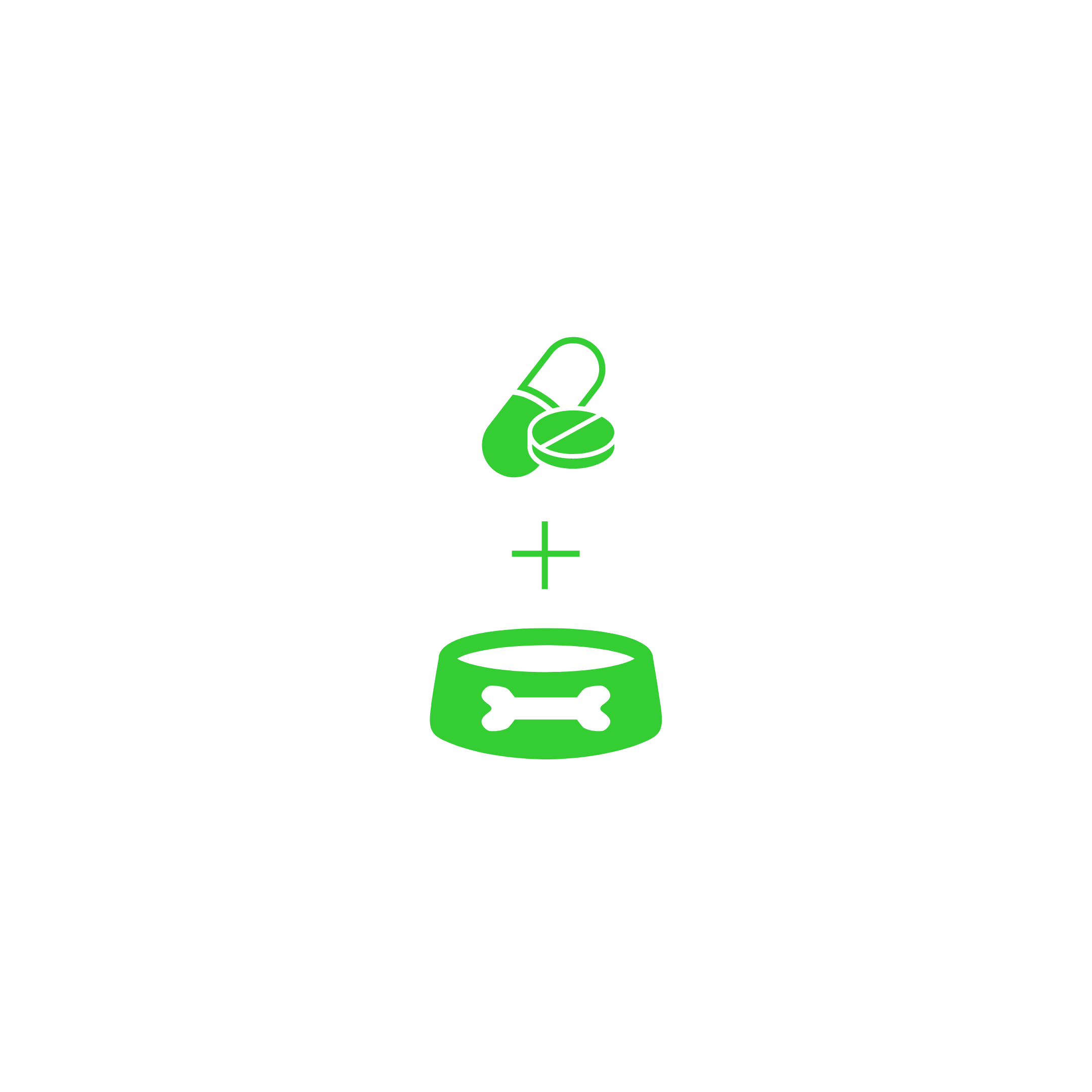 Tailored Tails of Lubbock Lubbock's Newest and Nicest Dog Boarding