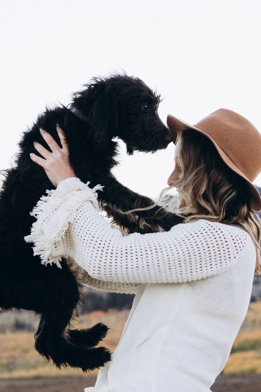 Tailored Tails of Lubbock Lubbock's Best in Dog Grooming, Playcare
