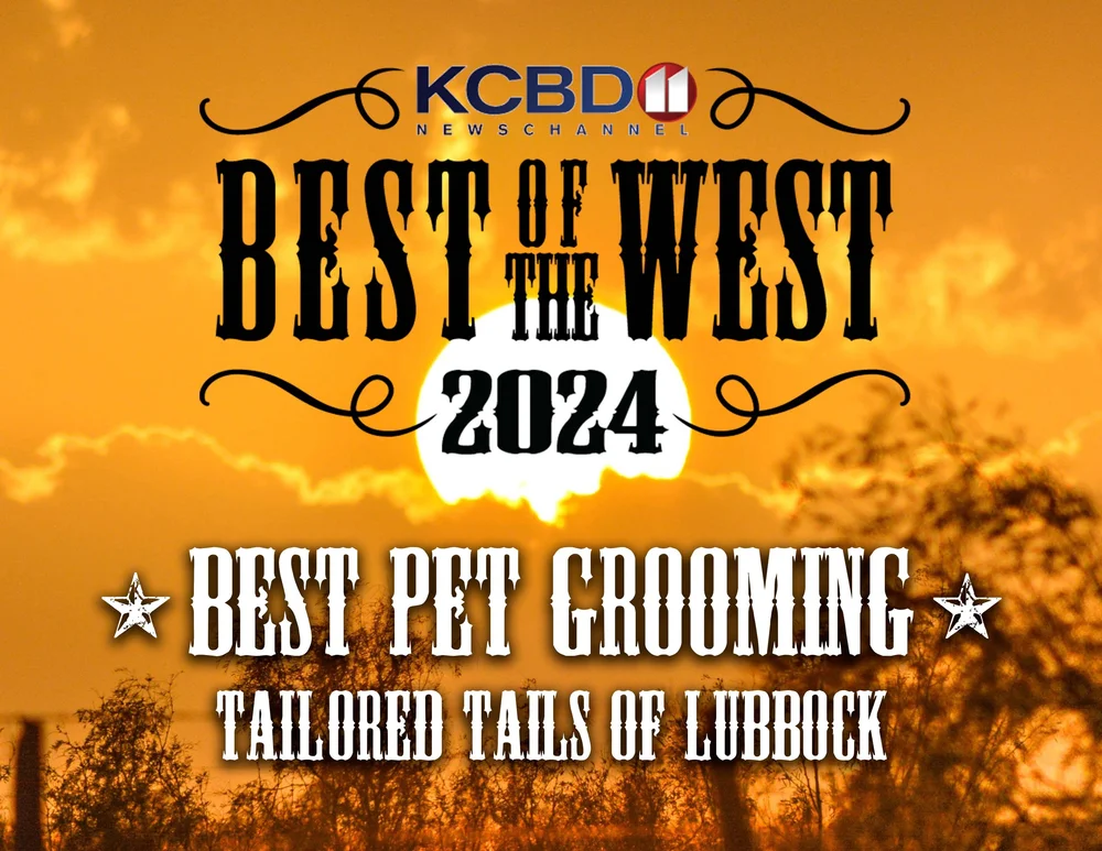 Tailored Tails of Lubbock Lubbock's Best in Dog Grooming, Dog