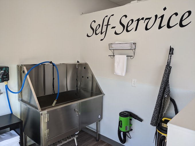 Tailored Tails of Lubbock The Best Dog Groomer in Lubbock