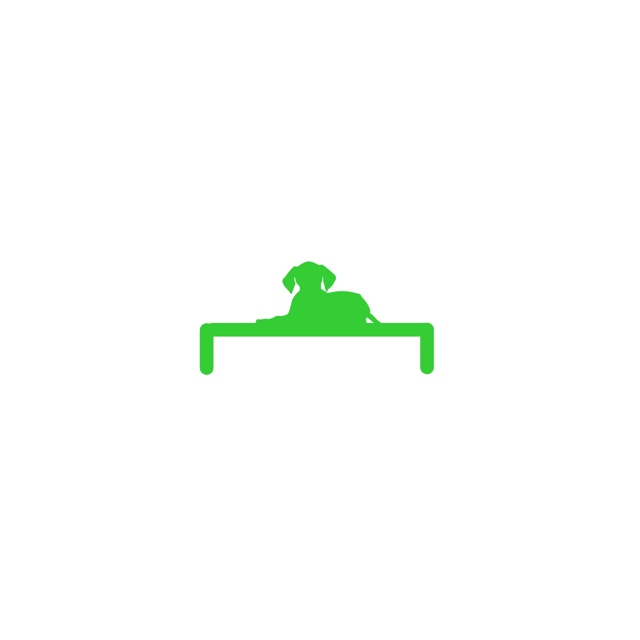 Tailored Tails of Lubbock Lubbock's Newest and Nicest Dog Boarding