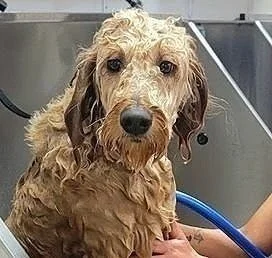 Anastasia bath.jpg