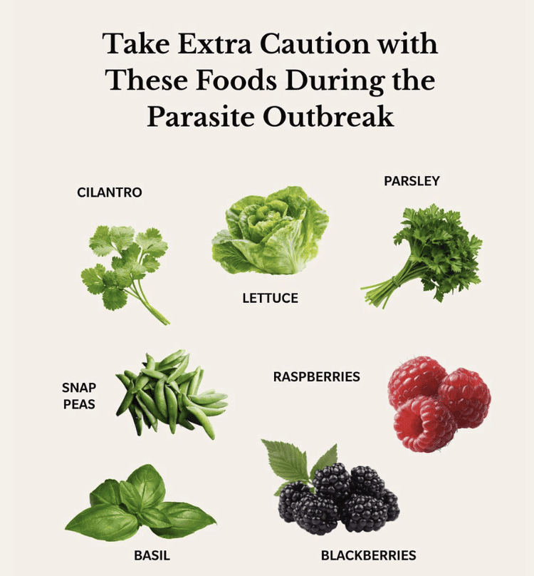 How to Handle the Current Parasite Outbreak