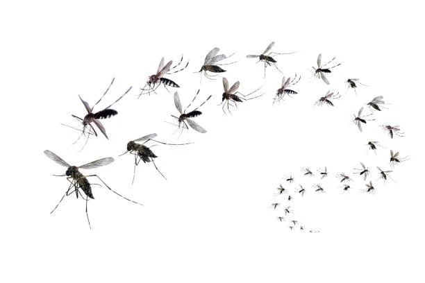 Preventing And Treating Bug Bites