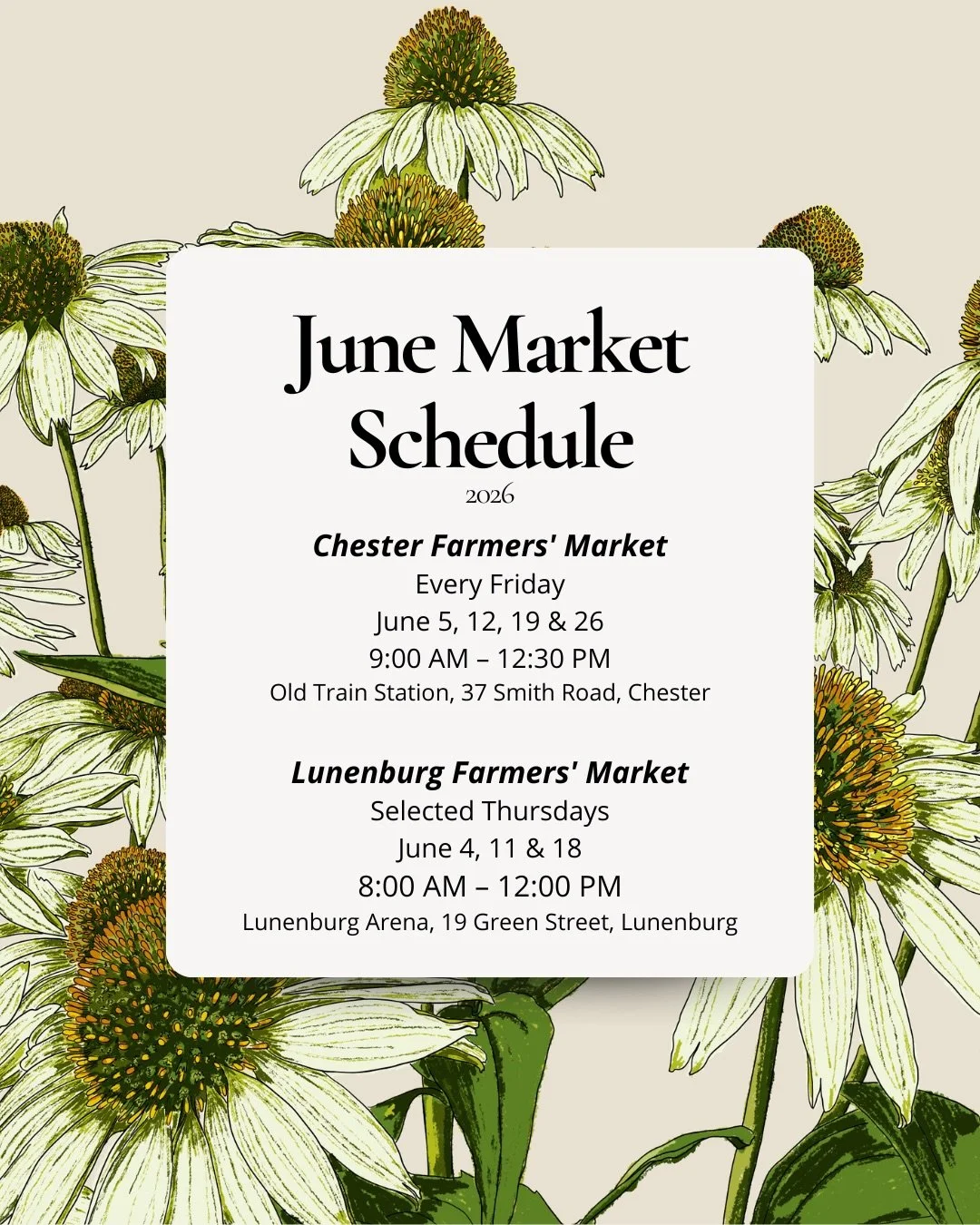 Finally June is here 💃🏽, and with it comes another month of markets, painting, wildflowers, and life in the woods 🌸

I&rsquo;ve included my June market schedule. If you&rsquo;re nearby, I&rsquo;d love for you to stop by, say hello, and take a look