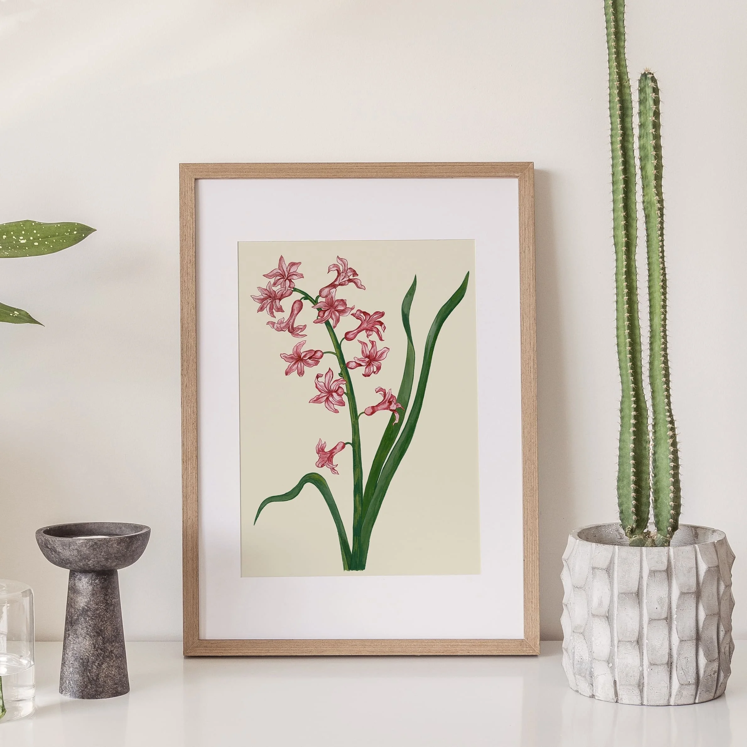 IMG3_Garden Hyacinth.jpg