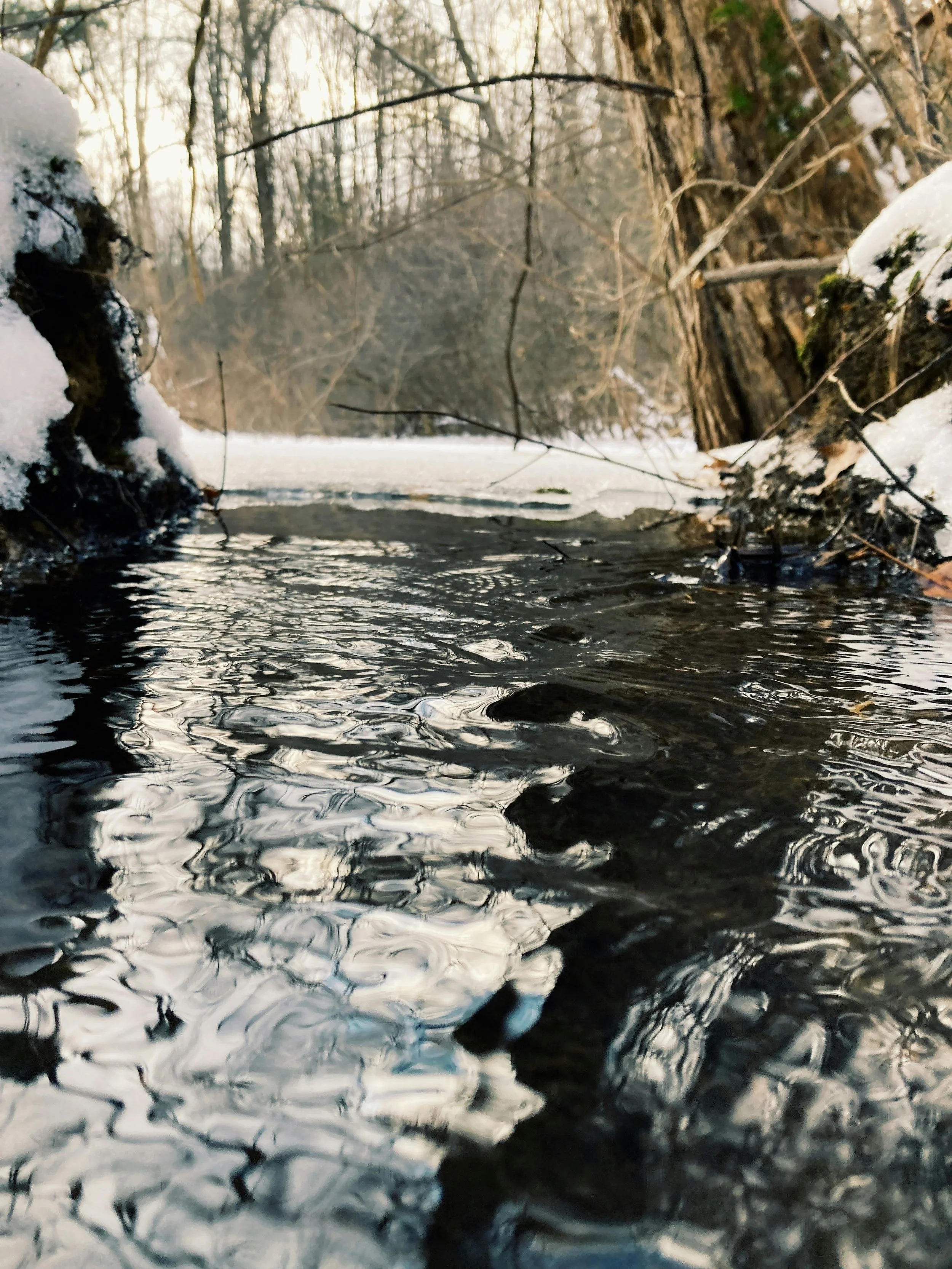 Winter Water Yin Yoga Workshop
