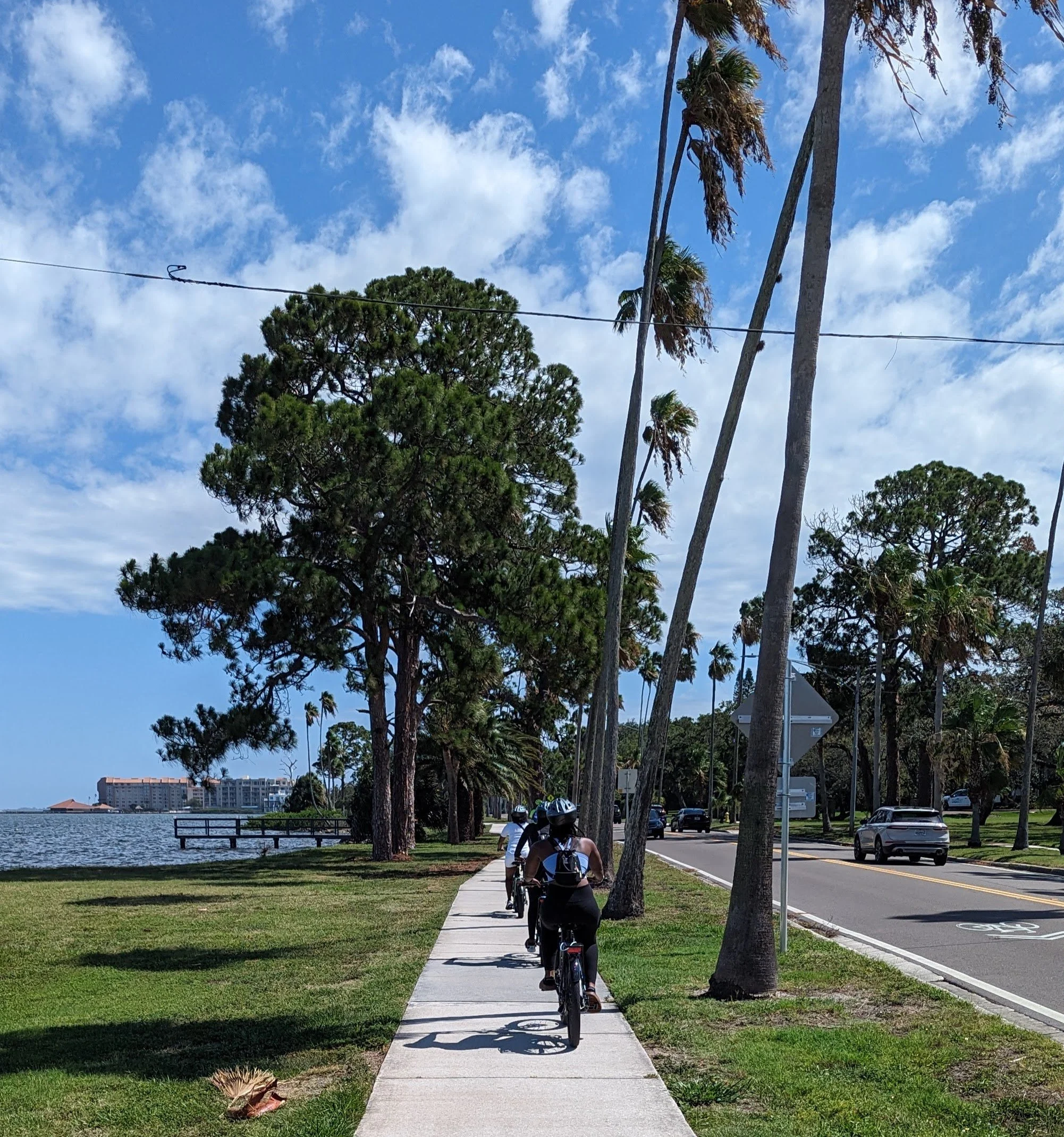 A sidewalk with several people riding bicycles under a partly cloudy sky, with tall palm trees and other trees lining the street, and a body of water with buildings in the distance.