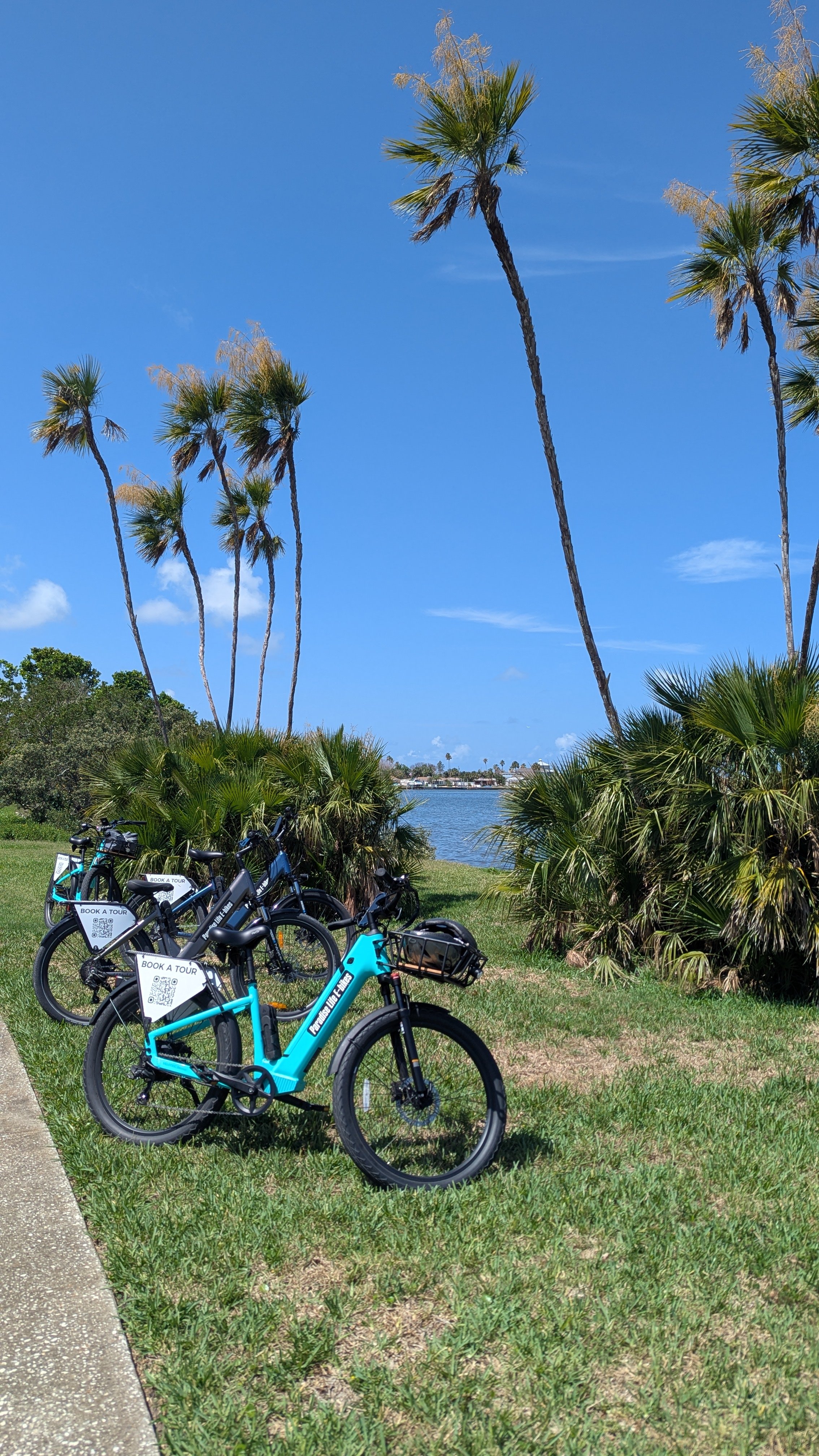 Row of blue electric bikes parked on grass near a sidewalk, background features palm trees, water, and a blue sky with some clouds.