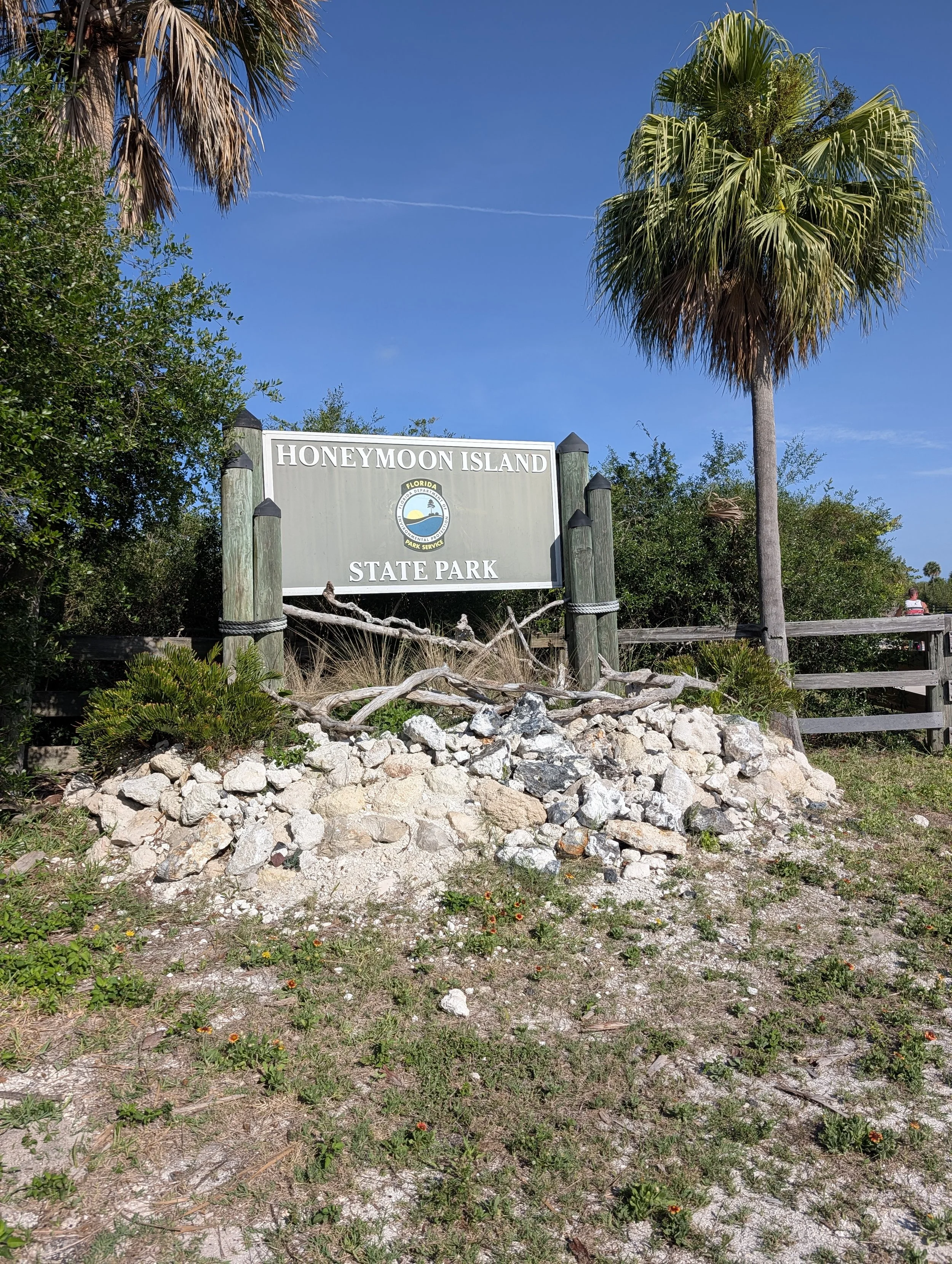 A park entrance sign for Honeymoon Island State Park, with tropical trees including palm trees and some small rocks and vegetation in the foreground under a clear blue sky.