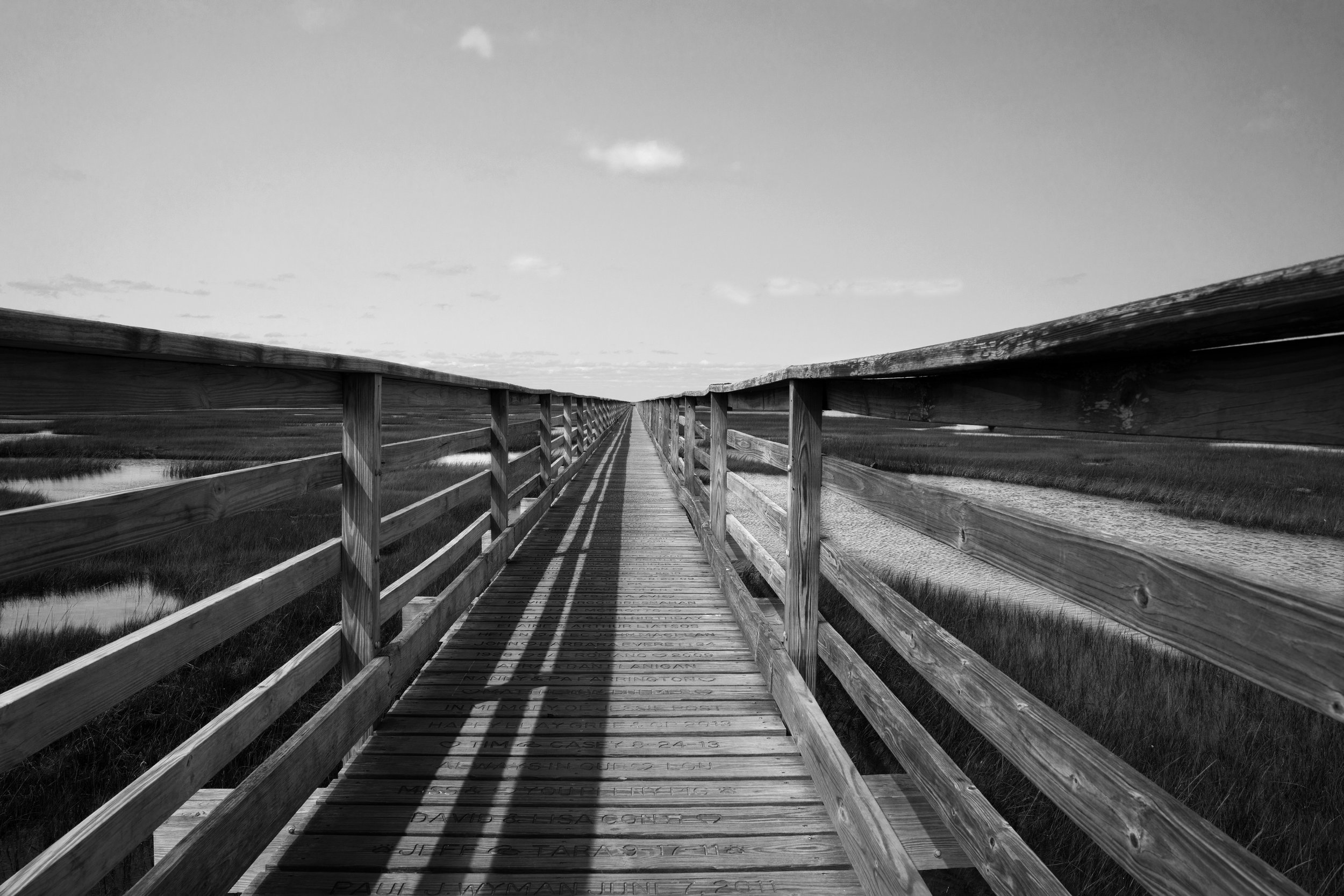 Vanishing Point