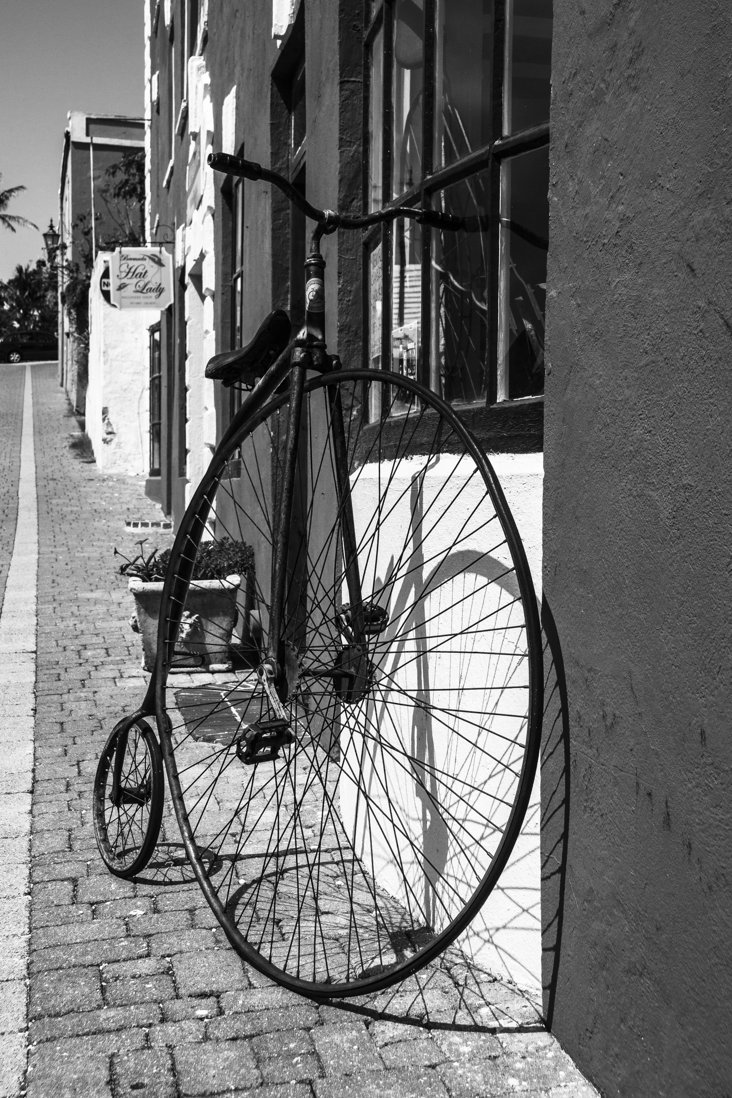 Pedal Bike