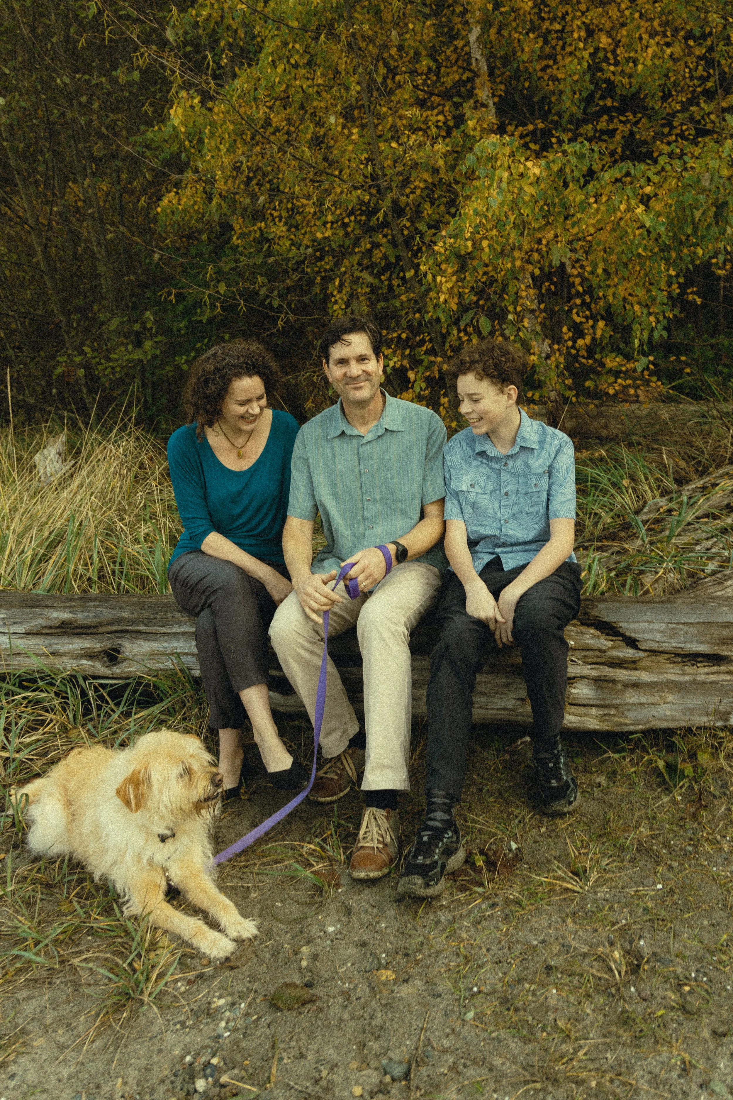 family12.jpg