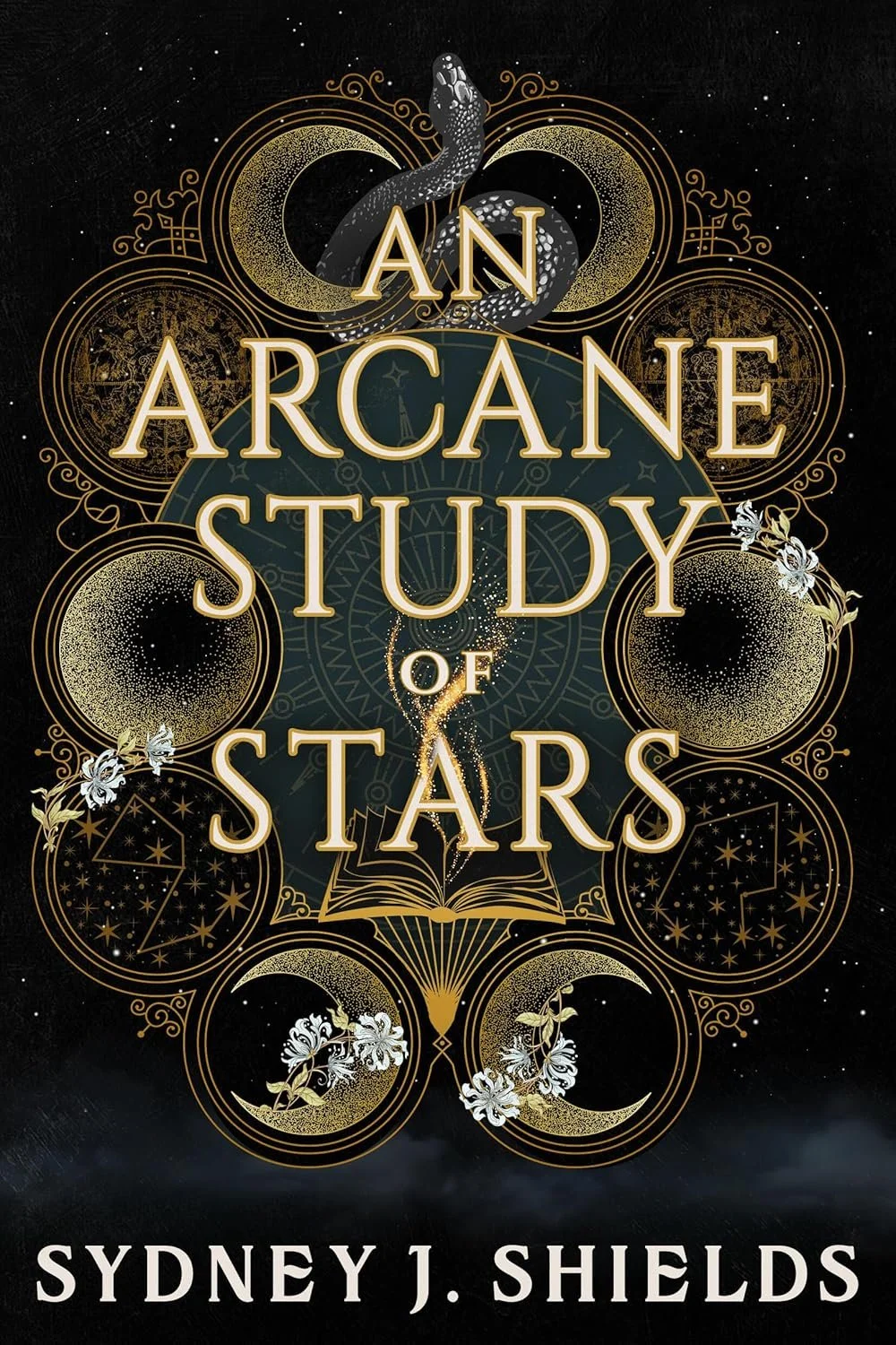 Arcane Study of Stars.jpg