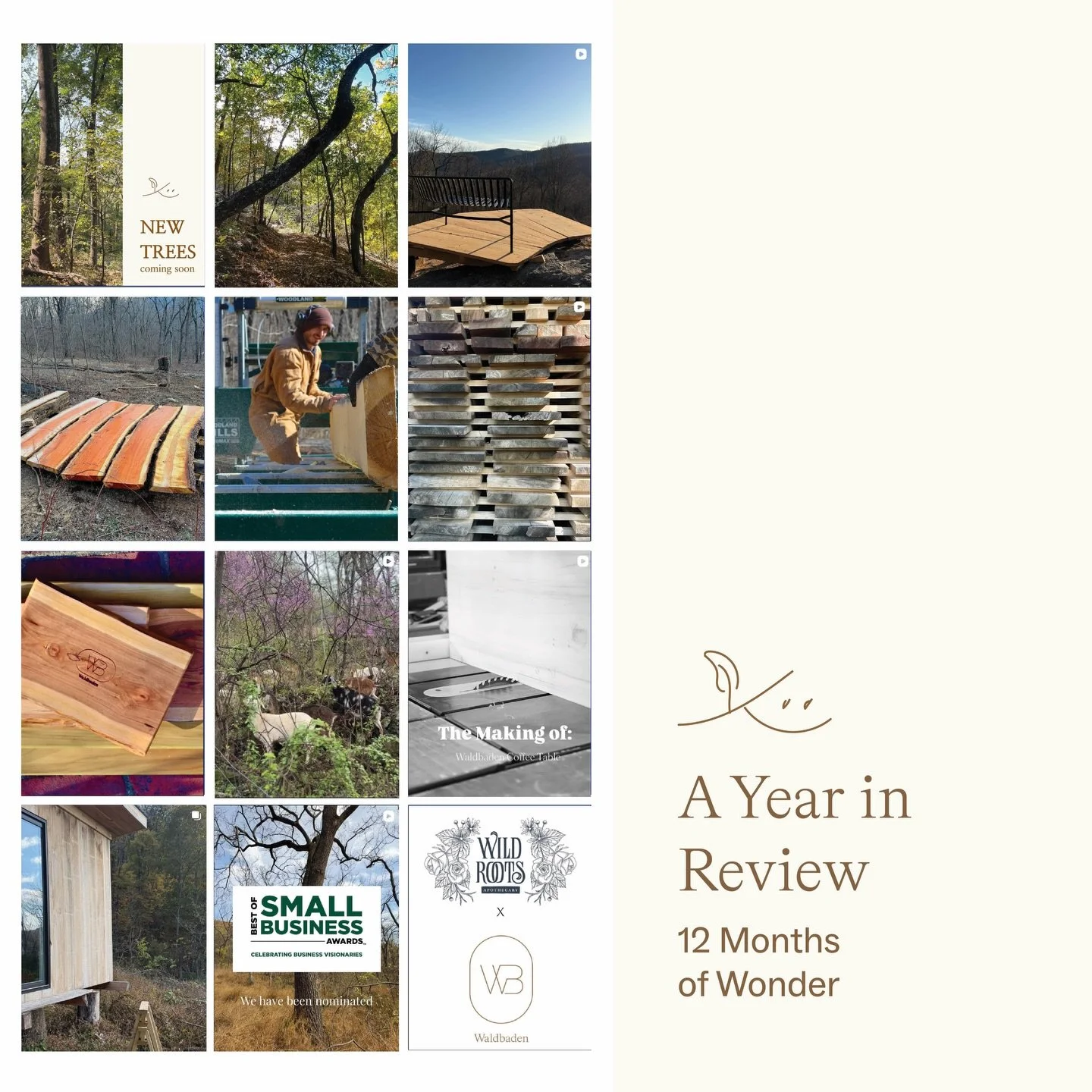 Growth. 

So much took place in our pilot year. Learning, creating, supporting, and celebrating in community with the forest.

This week, as the year begin to close, we look back with joy and gratitude at all the things we accomplished, and the immea