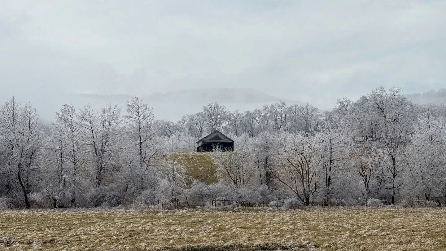 Winter has come. 
BY KOTARO TAKAMURA 

Winter has come. 
The white yatsude flowers have disappeared, 
The gingko trees are like brooms. 
Winter, piercing as a gimlet, has come. 
Winter, disliked by men, 
Winter, betrayed by plants, 
left behind by in