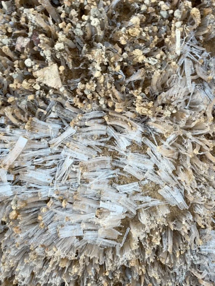 Preludes  BY T. S. ELIOT 

The winter evening settles down 
With smell of steaks in passageways. 
Six o&rsquo;clock. 
The burnt-out ends of smoky days. 
And now a gusty shower wraps 
The grimy scraps 
Of withered leaves about your feet 
And newspaper