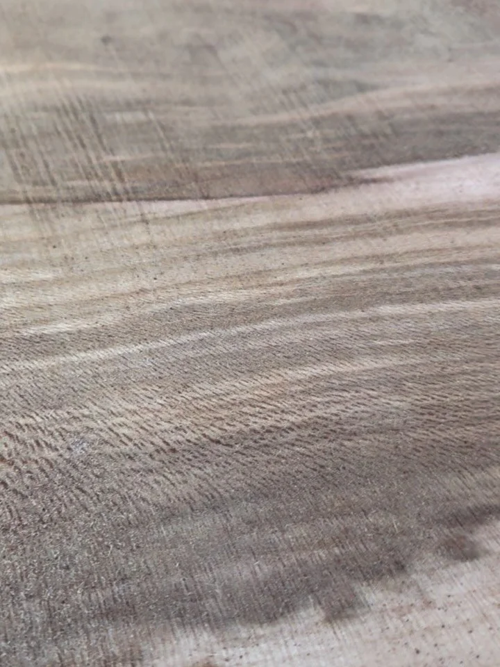 Species we love. 

Nothing brings more drama than the biggest 
hardwood in North America: the Sycamore.

With its dramatic lace-patterned close grain, 
this tree is excellent for those looking for 
a distinct and solid hardwood. 

We only trust our e