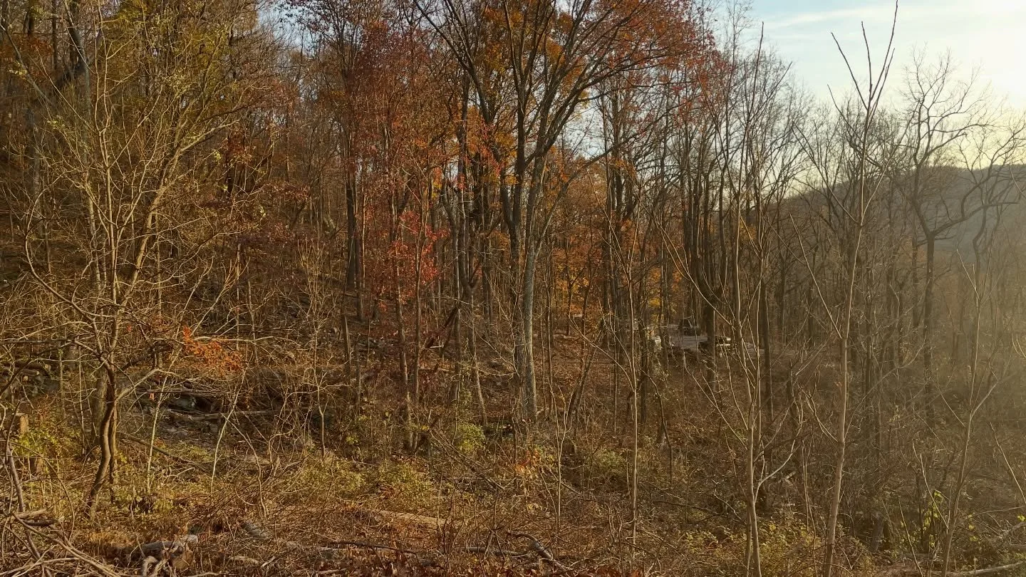 Harvesting thoughtfully, leaving forests healthier than we found it, so your furniture carries both beauty and responsibility.

#treetofurniture #sustainableforestmanagement #sustainableprocesses