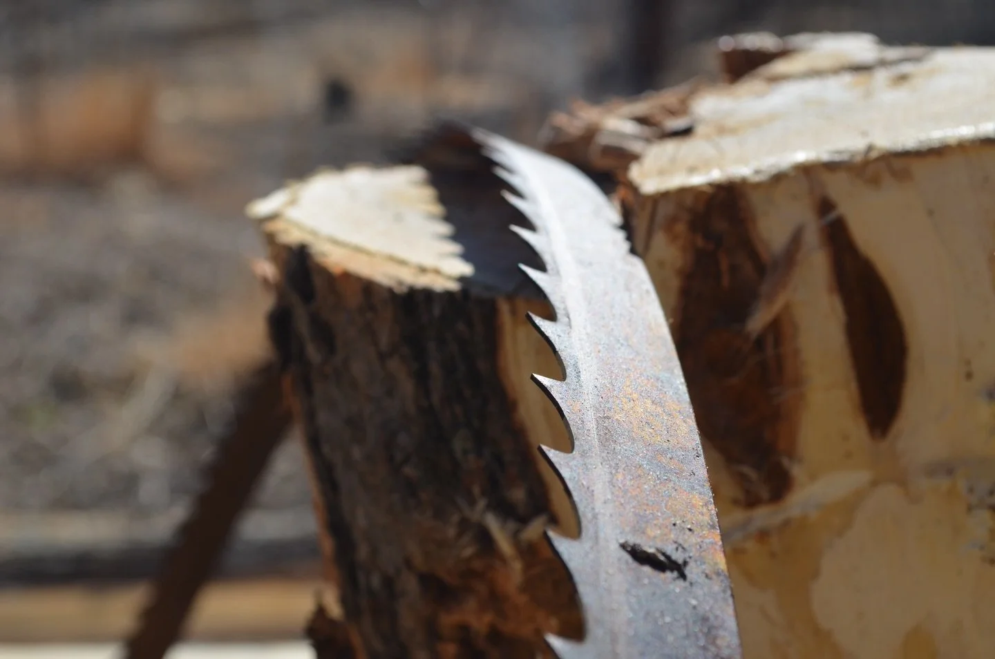 Here luxury is patient. 

Our process may seem slow, but it is one to enjoy as you see your pieces become lasting ones.

Maximizing stability, minimizing waste, and honoring the material at every step.

Join us in creating true sustainable luxury.

#