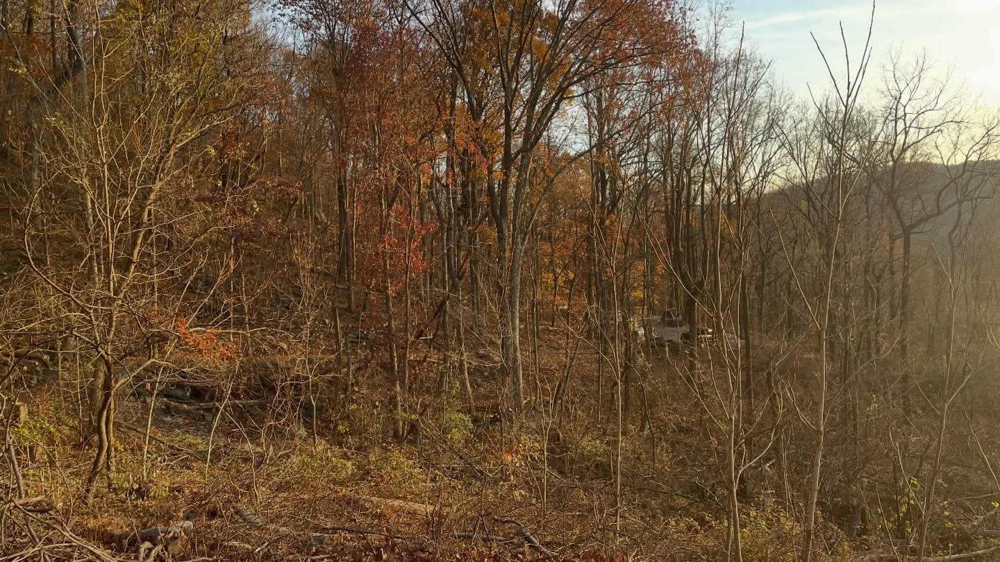 Harvesting thoughtfully, leaving forests healthier than we found it, so your furniture carries both beauty and responsibility.

#treetofurniture #sustainableforestmanagement #sustainableprocesses