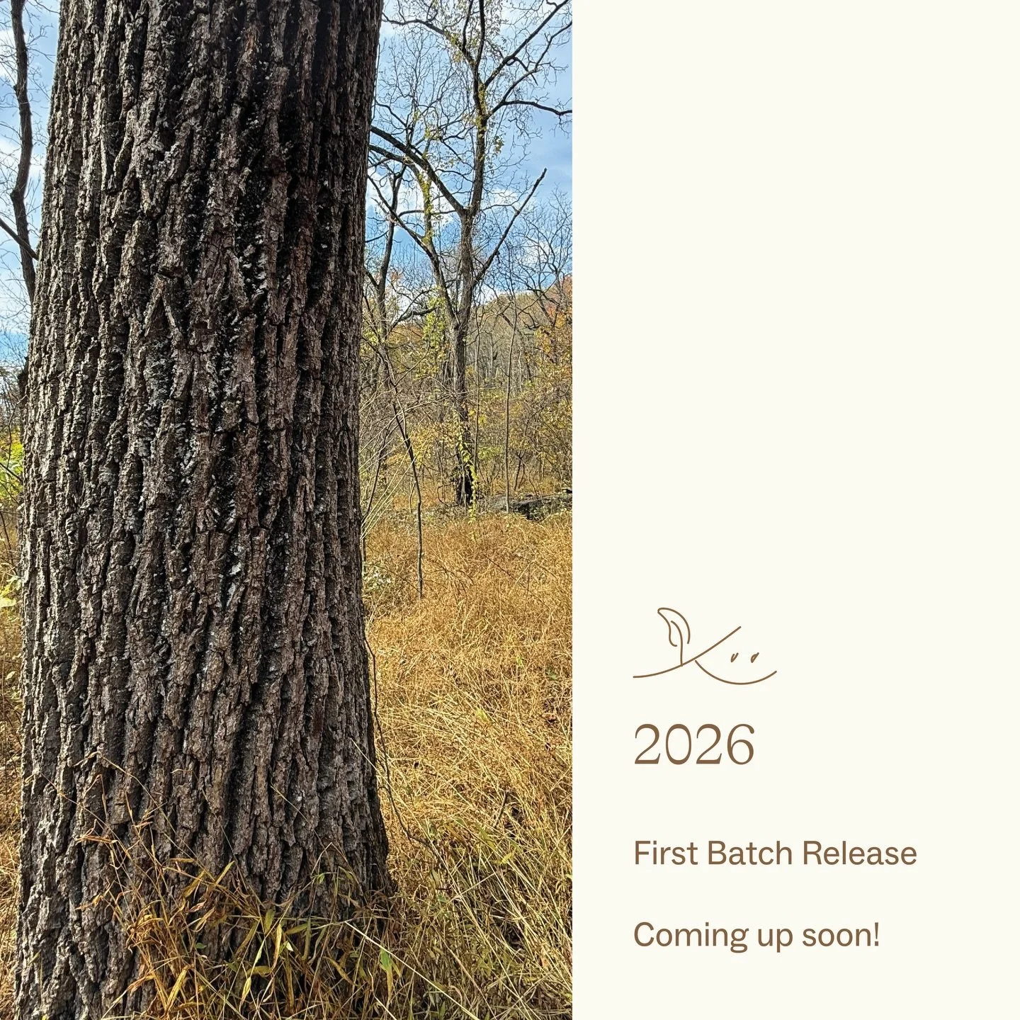 The air is warming up and our next tree release is around the corner. 

Reserve a spot to visit the forest, pick your tree, and get started on building your next family heirloom/signature piece. Link in bio.

Sustainable luxury from forest floor to y