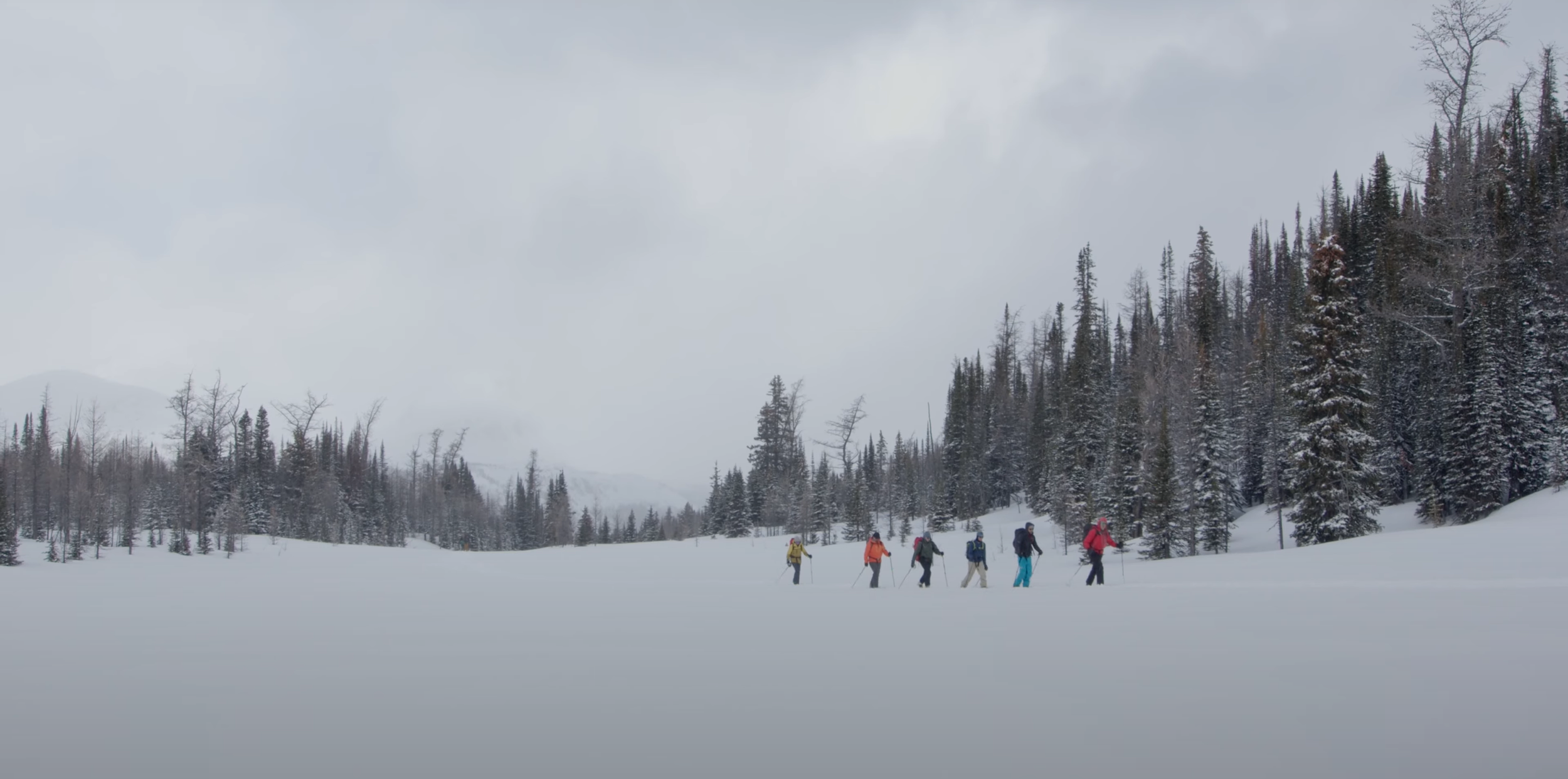 Екранна снимка 2023-05-12 210353.png