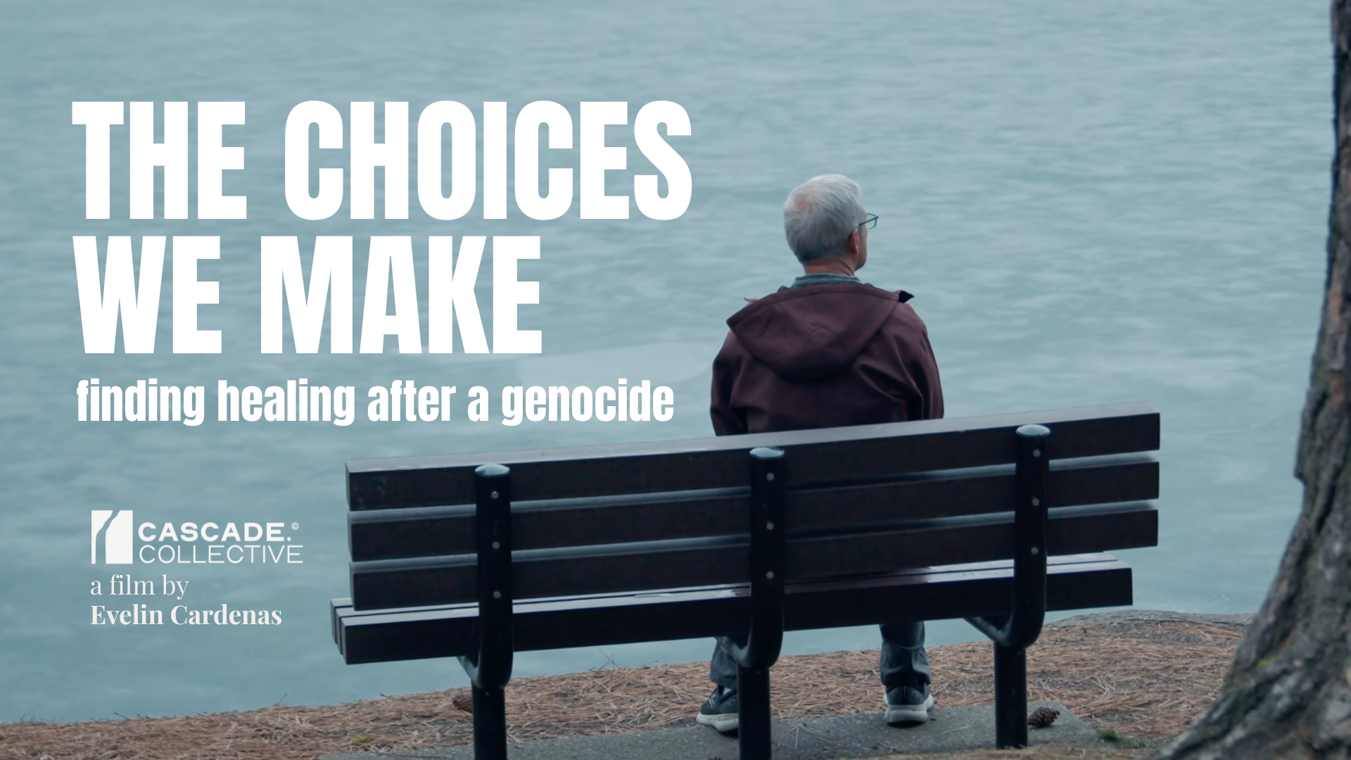 The Choices We Make Documentary