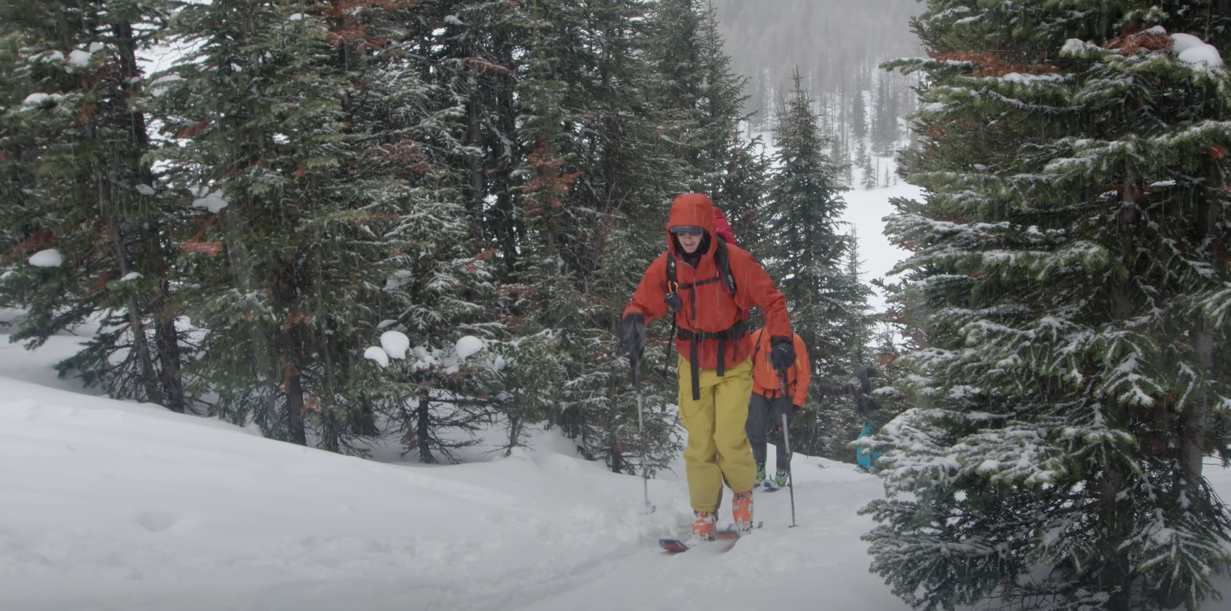 Екранна снимка 2023-05-12 210414.png