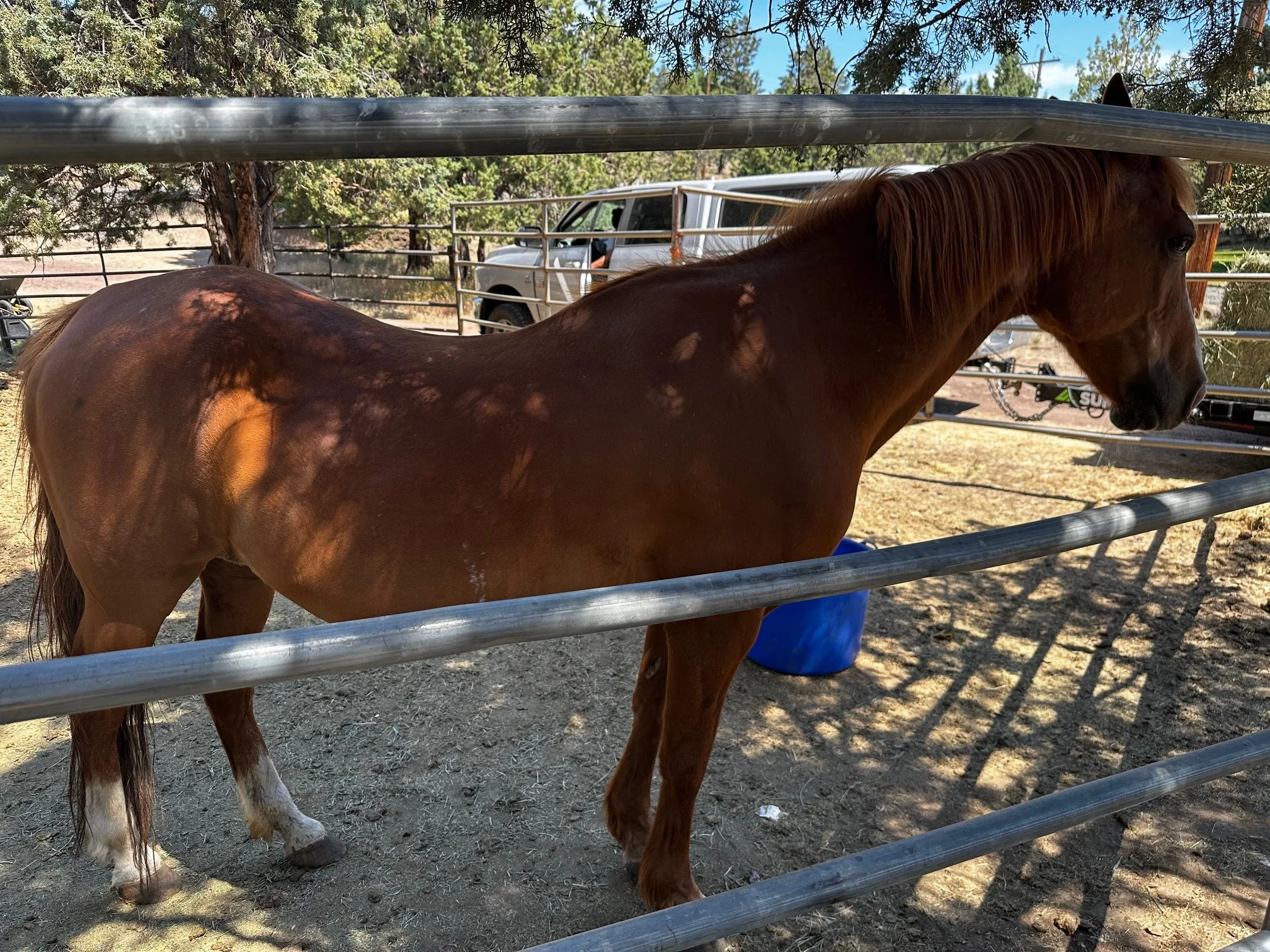 Charmarie June 2025.jpeg