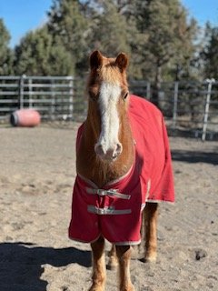 Lightening intake.jpeg