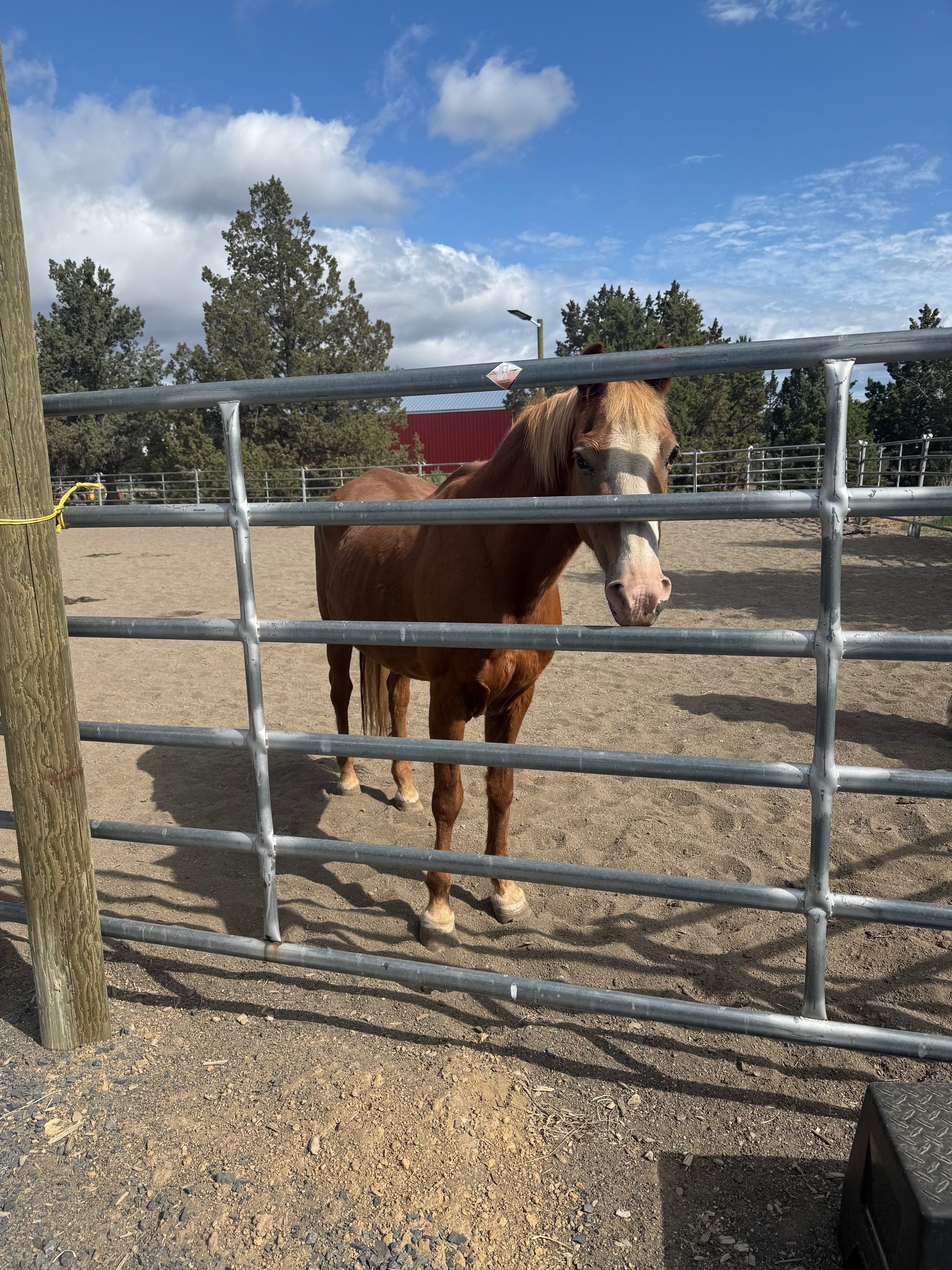 Lightening June 2025.jpeg