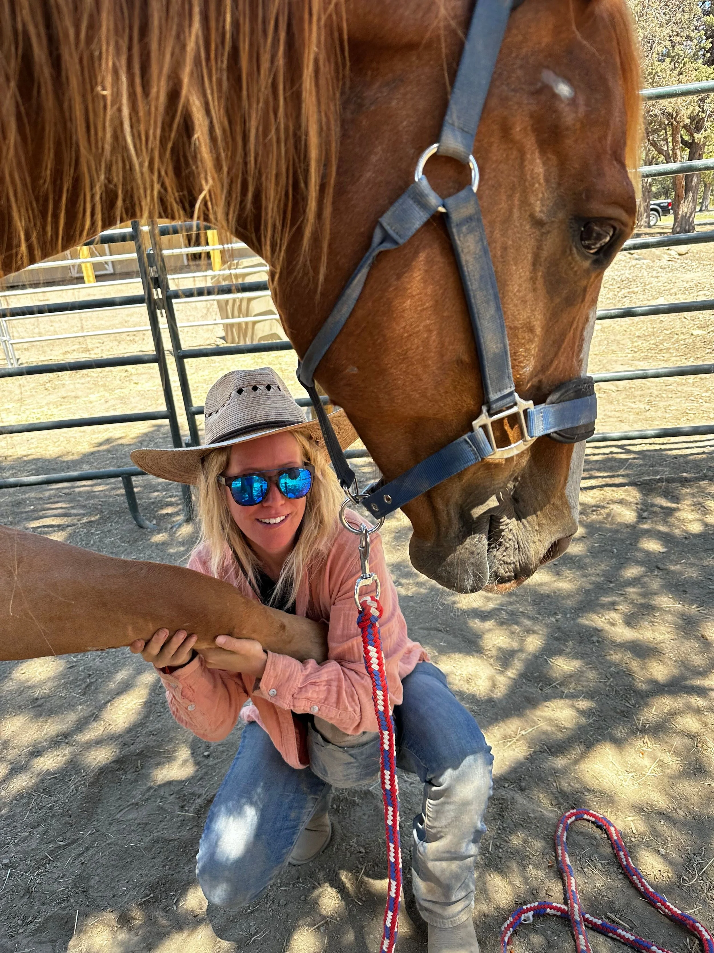 MISC - Adriana Bodywork .jpg