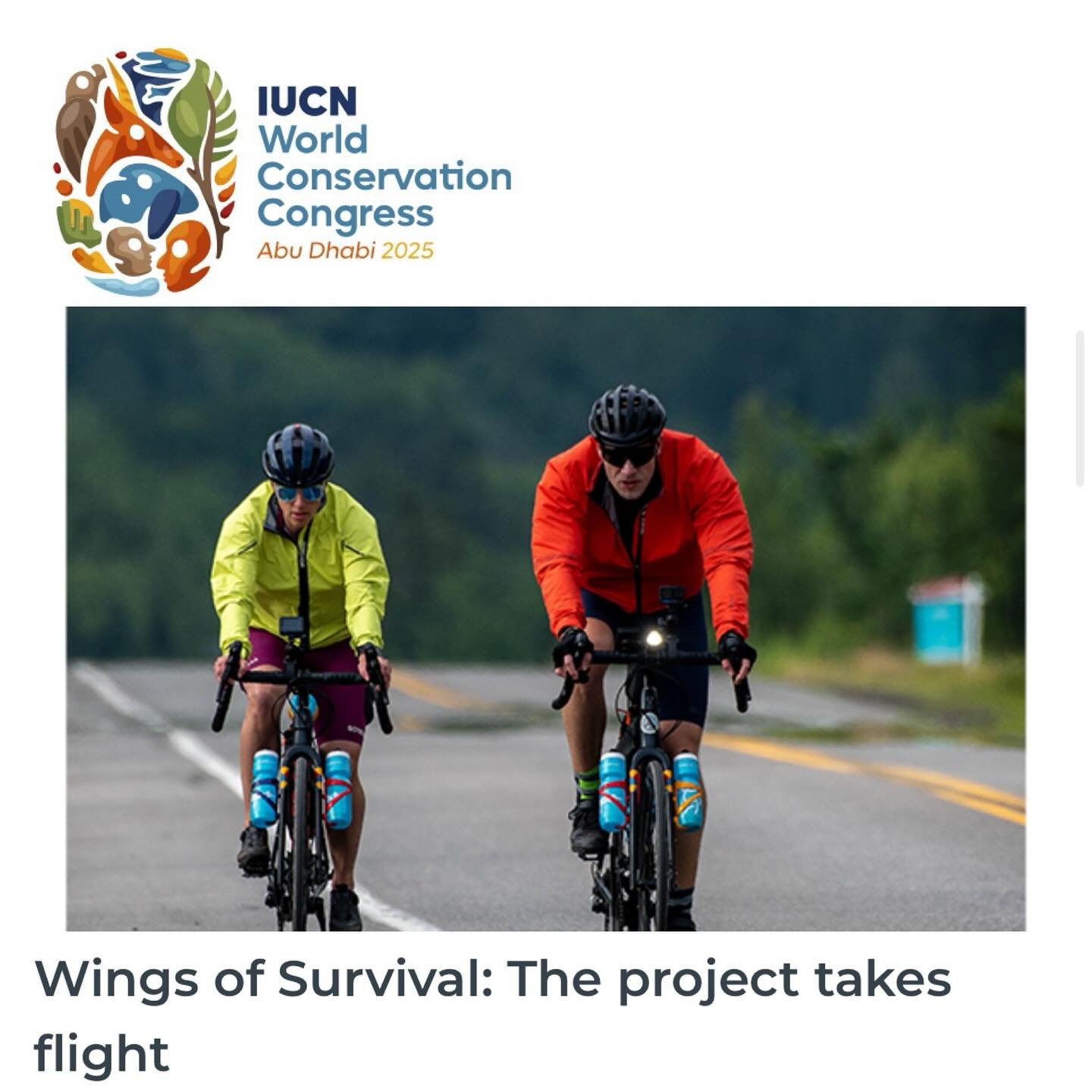 @iucn_congress feature written by Dr.Timm D&ouml;bert @sportecologist @10millionreasons 

&ldquo;Every spring and fall, billions of birds take to the firmament, embarking on feats of endurance that dwarf the physiological abilities of any human. In f