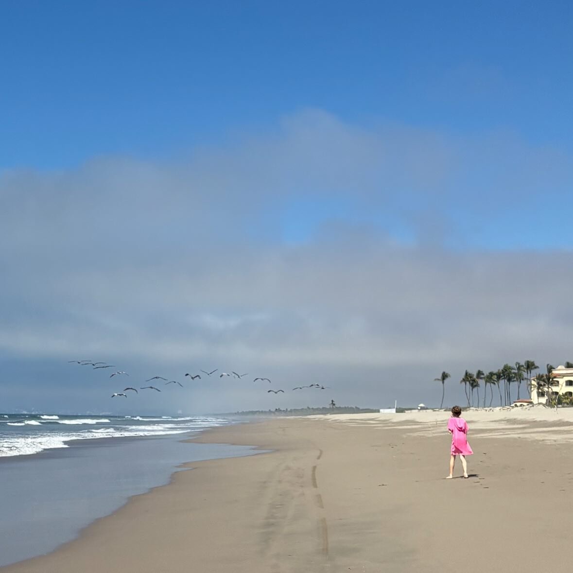 🌊 World Ocean Day 🌍
Our future depends on the ocean&mdash;and so does the survival of countless species that travel thousands of miles across it.

From the wings of migratory shorebirds to the health of coastal communities, the ocean connects us al