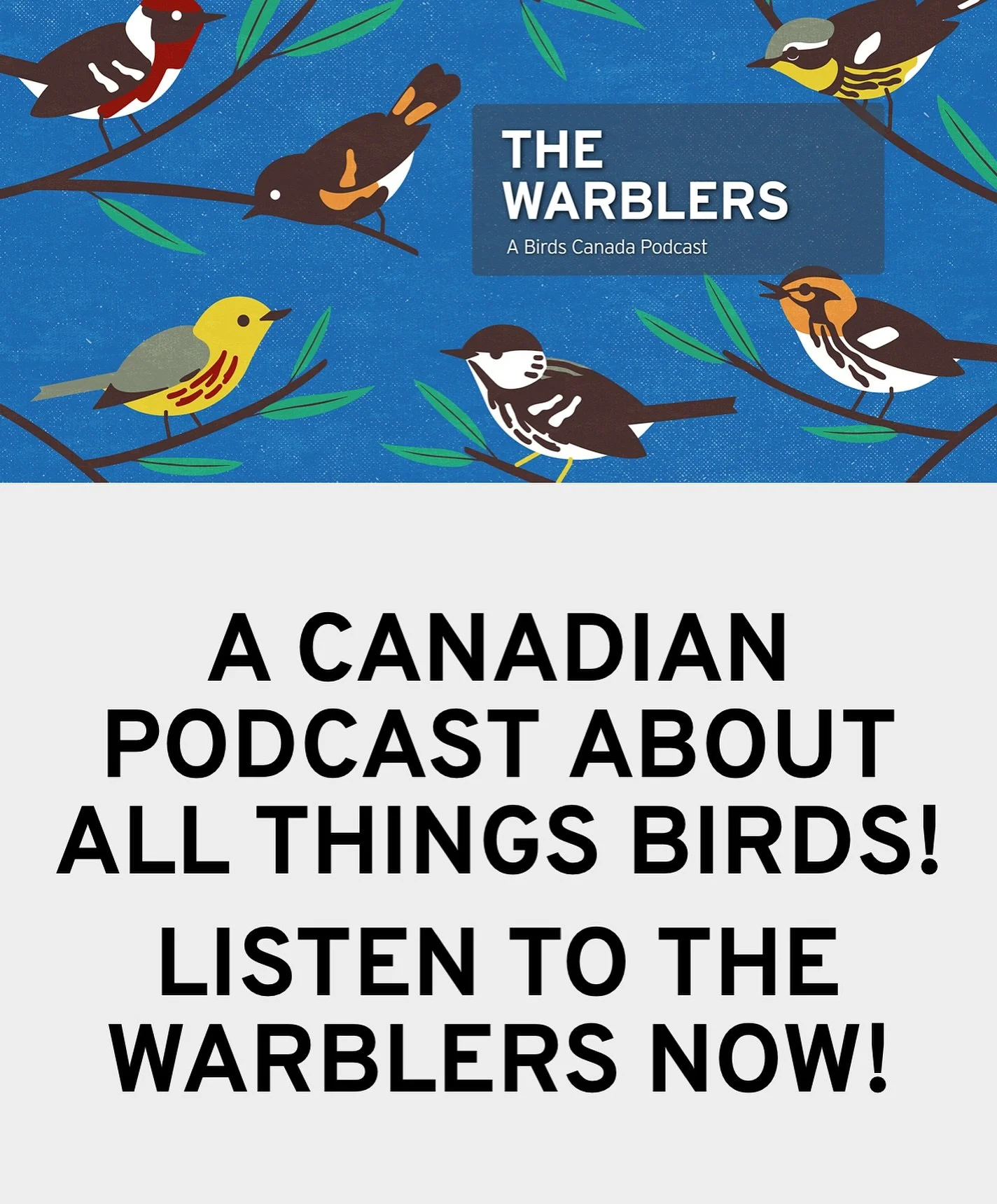We were so excited to chat on the Warblers Podcast with @thisisandreagress Andrea and @birds.canada 🐦✨

Grateful for these movements and the chance to share our story.

Have a listen and join the conversation! 🎧🌍

Link in stories or ( https://www.