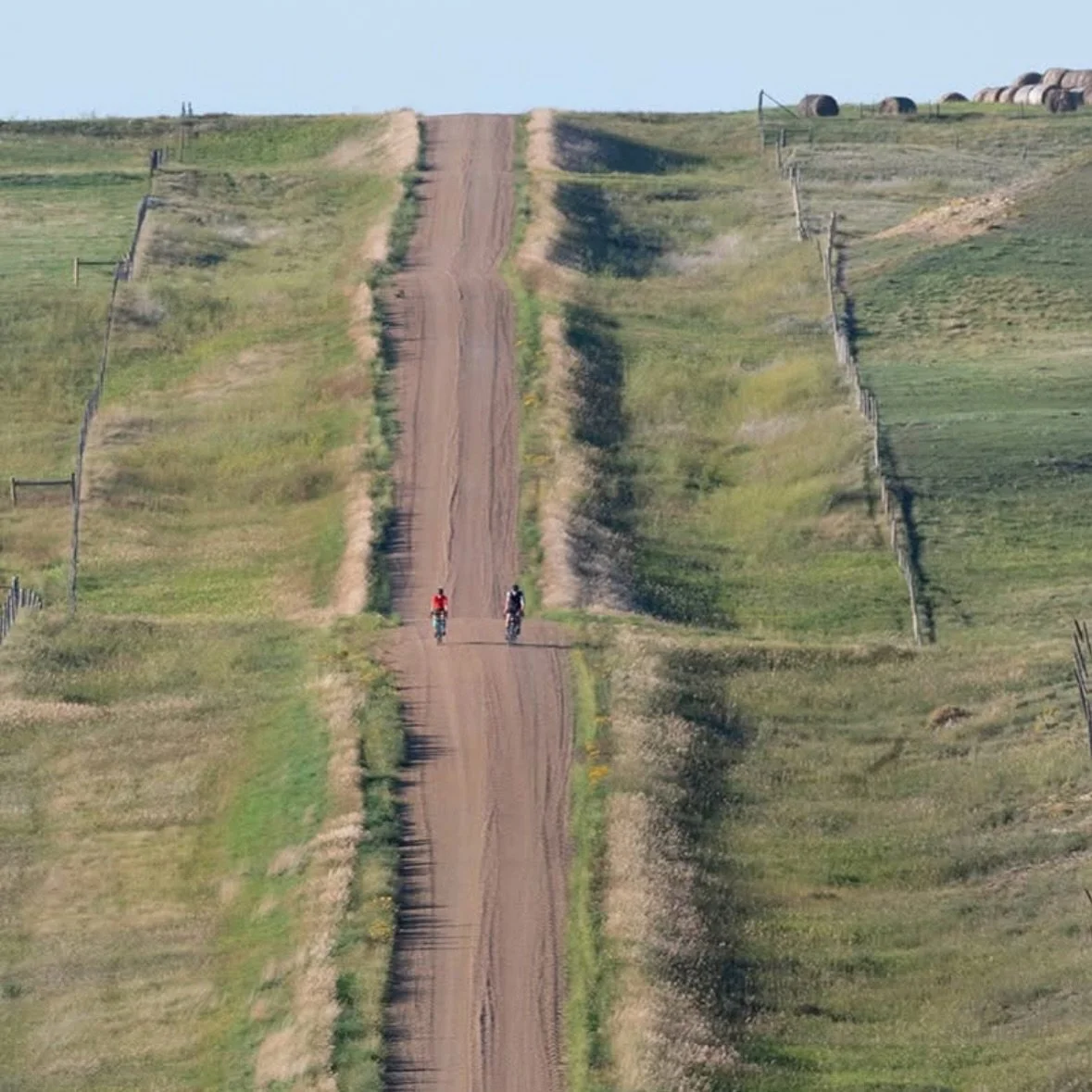 Grasslands store nearly a third of Earth&rsquo;s carbon, support countless species, and sustain migratory birds that connect continents. Yet, they&rsquo;re among the most threatened ecosystems on the planet.

#WingsOfSurvival #CyclingForConservation 