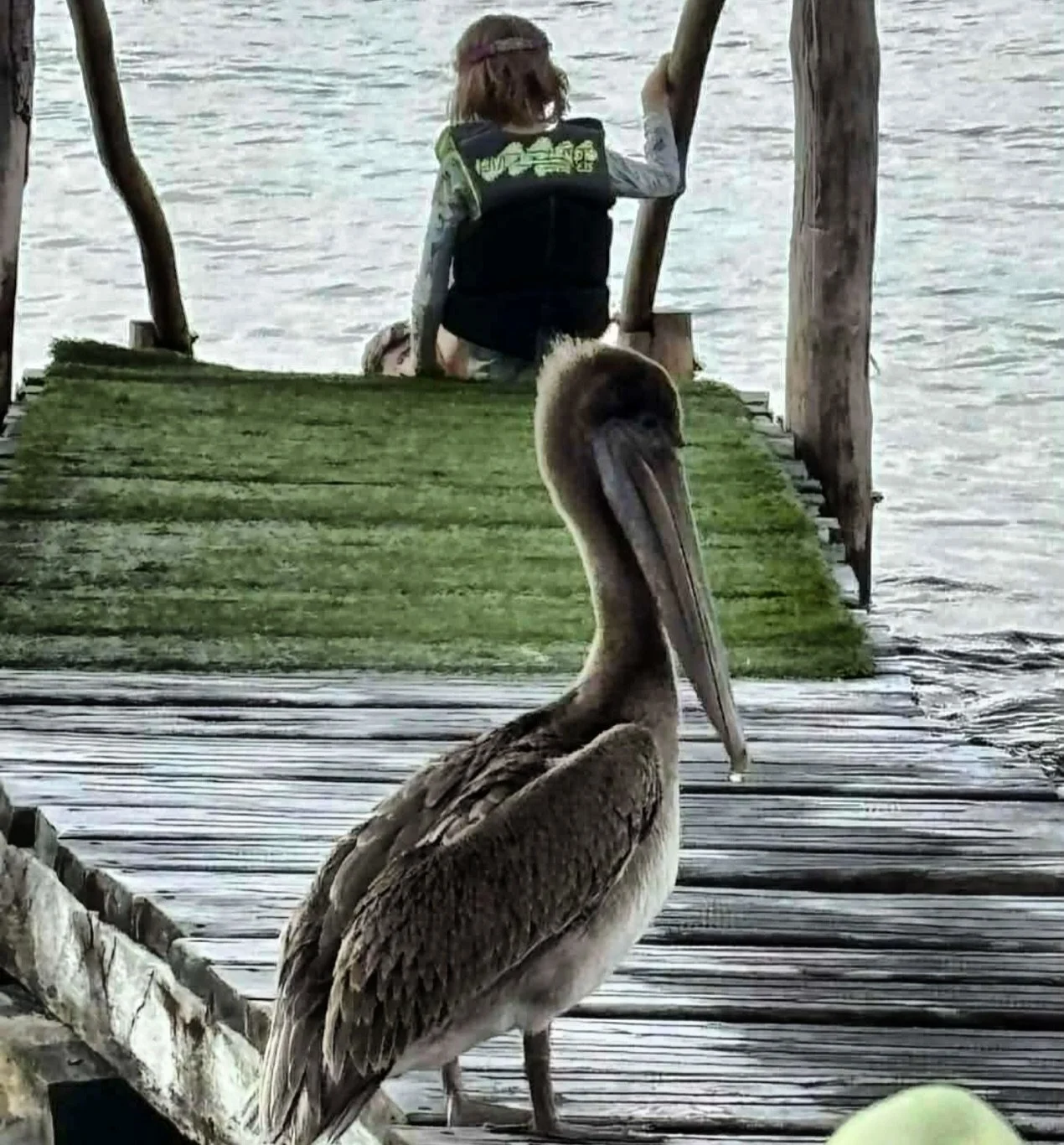 Kids thrive in nature &mdash; it grounds them, grows their curiosity, and reminds them that the world is full of wonder. These little moments matter. Protecting nature is vital for our future. 

Fun fact: Cozumel&rsquo;s brown pelicans are incredible