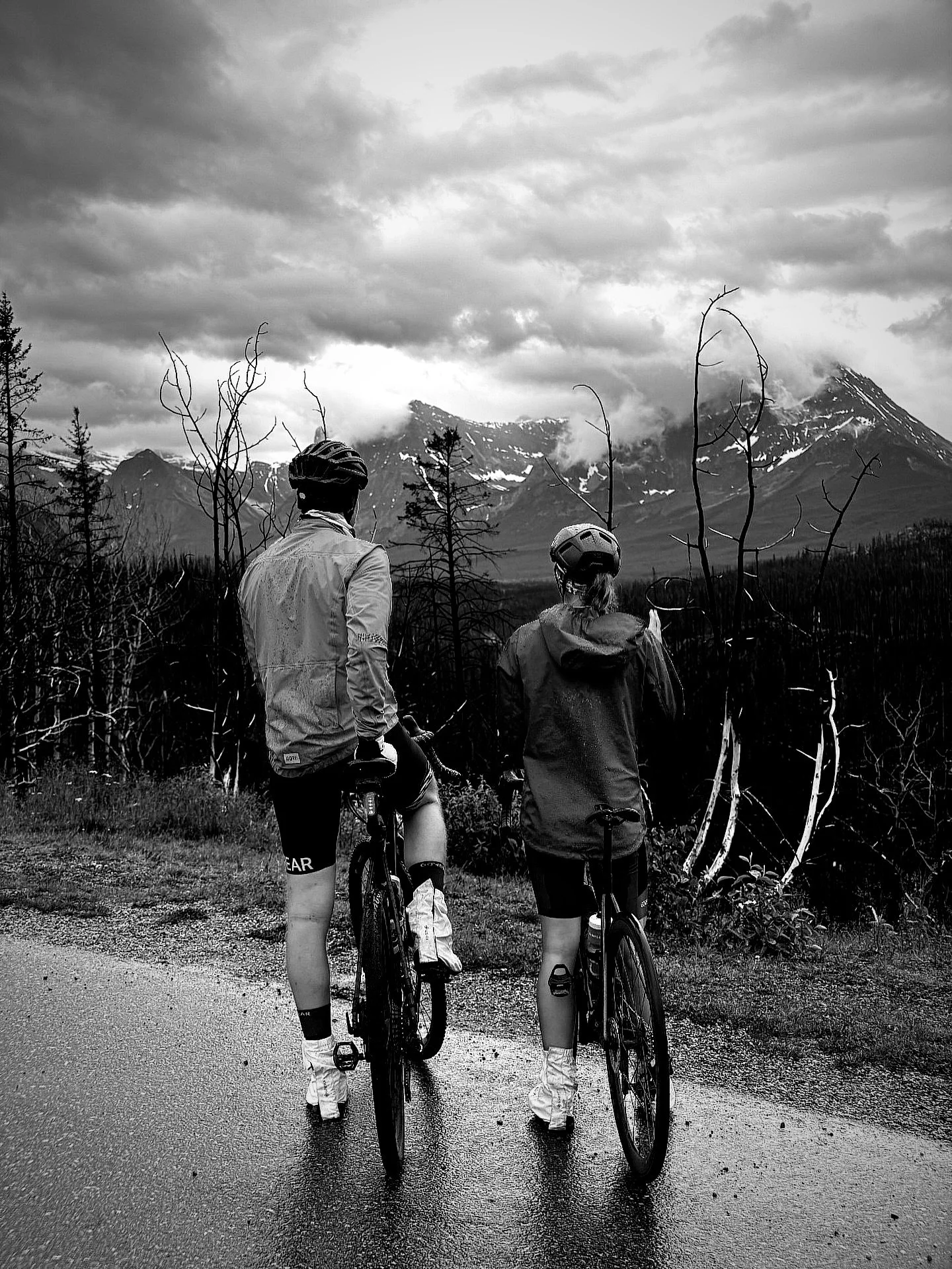 Today is Black Friday &mdash; and Wings of Survival needs your support.

We&rsquo;re now just under 7 months away from a world-first Race with Nature: a 30,000 km human-powered journey cycling the entire Pacific Americas Flyway from Alaska to Patagon