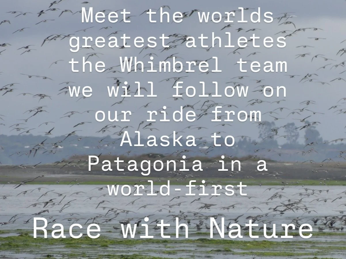 We can&rsquo;t thank @birdecologylab enough for the incredible work they do for bird conservation&mdash;and for welcoming us into their world.

This is a truly special team, giving us the opportunity to see these amazing birds up close and personal, 