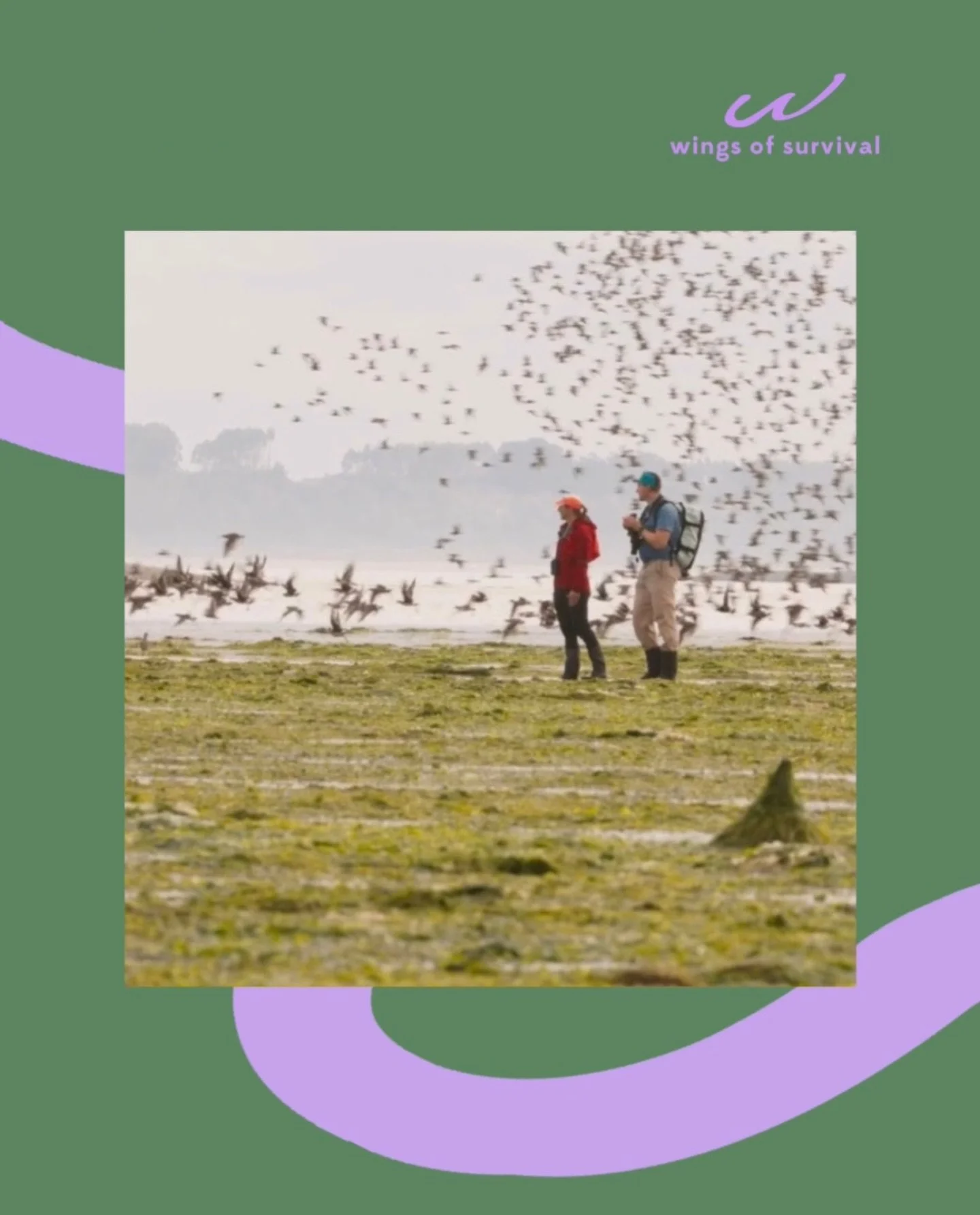 Come join us for World Migratory Bird Day!

📍 Lois Hole Centennial Provincial Park
🗓 Saturday, May 9, 2026
⏰ 10:00 AM &ndash; 3:00 PM
🎟 FREE admission

Celebrate the incredible journeys of migratory birds and learn how we can help protect them. Fr