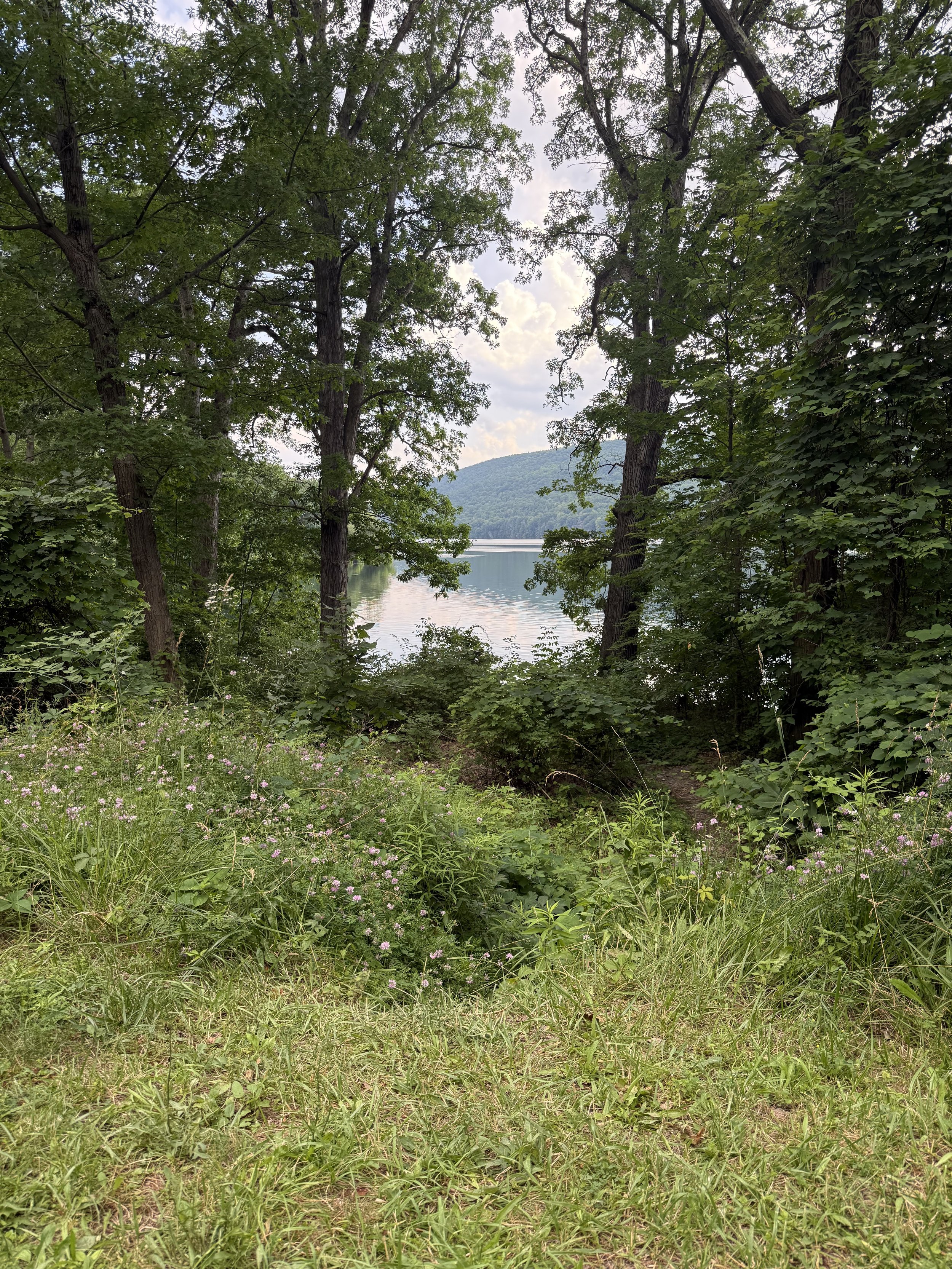 IMG_2159.jpeg