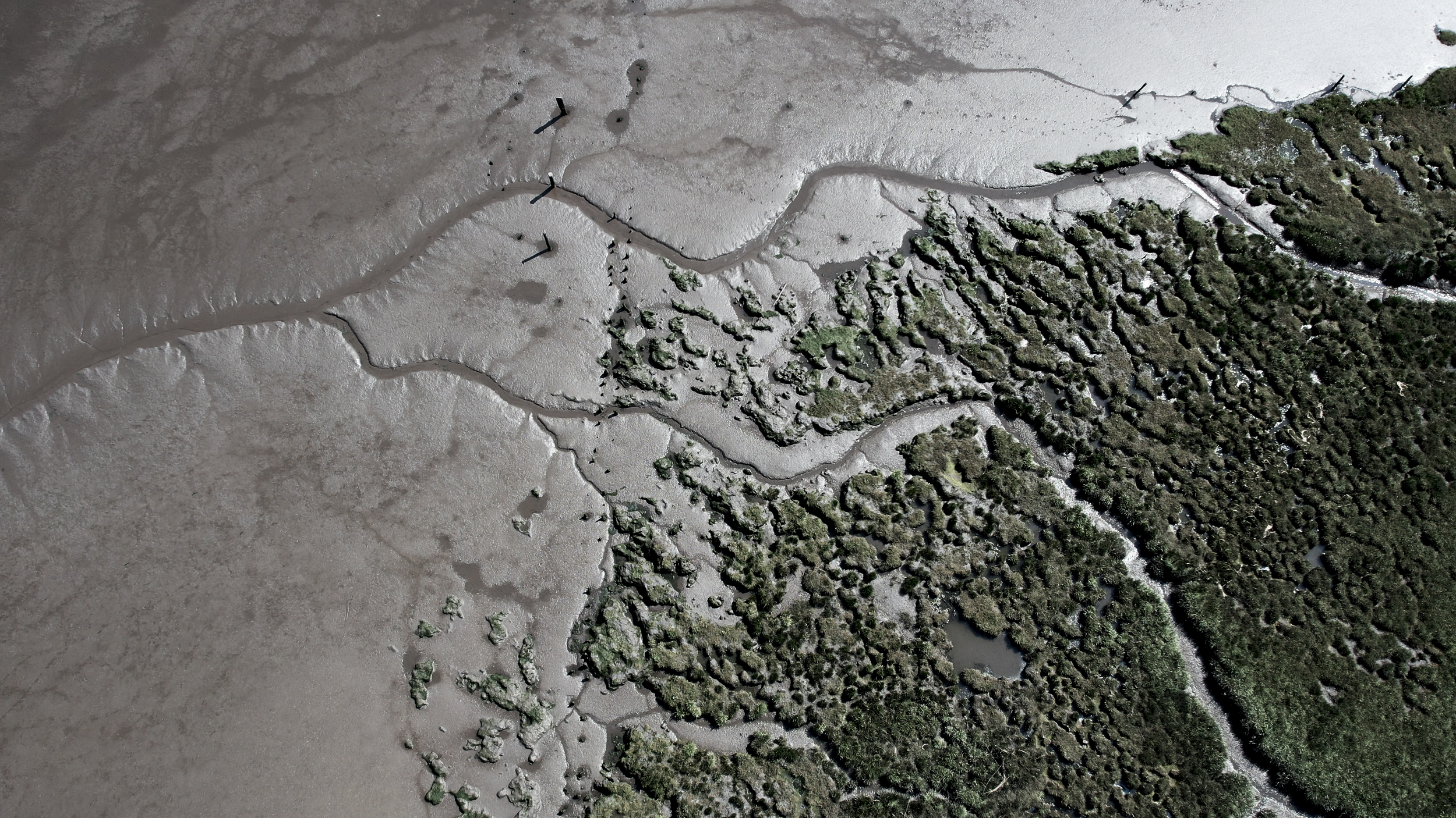 Projection - S9.00_55_29_45.Still-106.png