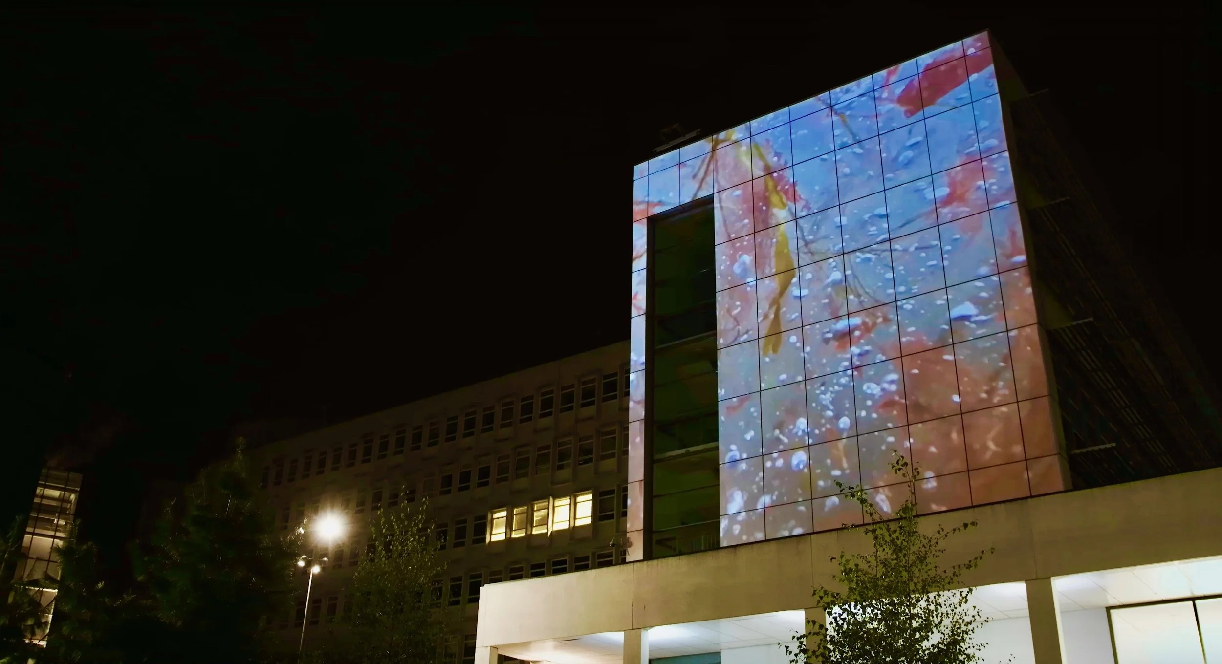 Screenshot 2021-12-02 at 17.45.56.jpeg