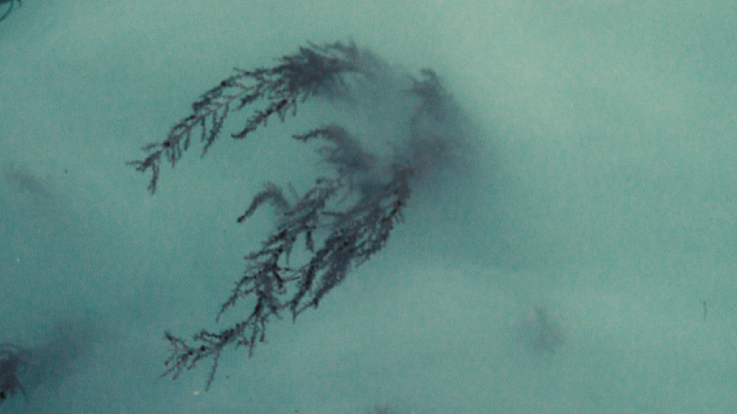 INTOTHEOCEANIC-ProductionStill-Oct20-82.png