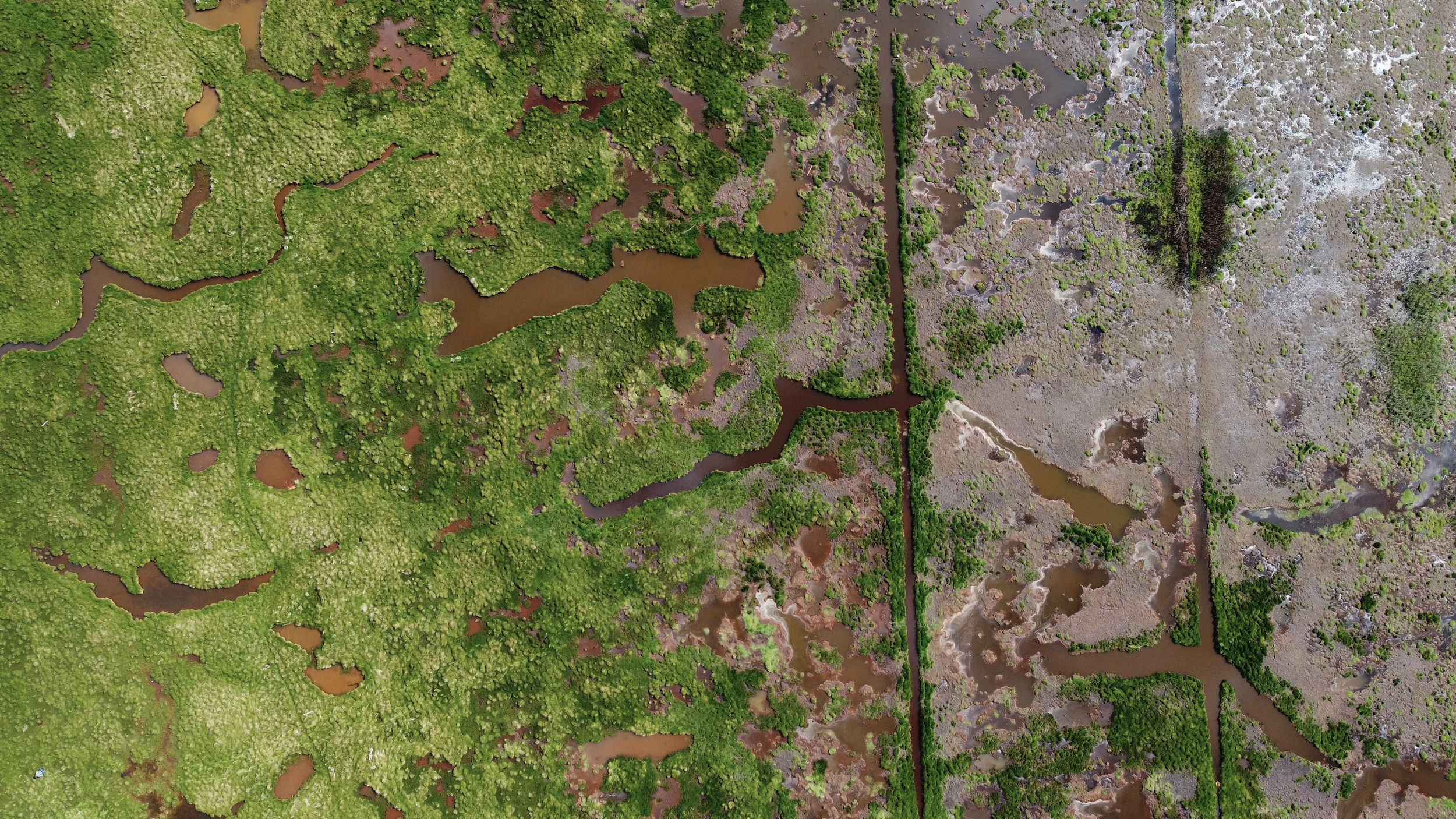 Projection - S9.00_57_22_04.Still-118.png