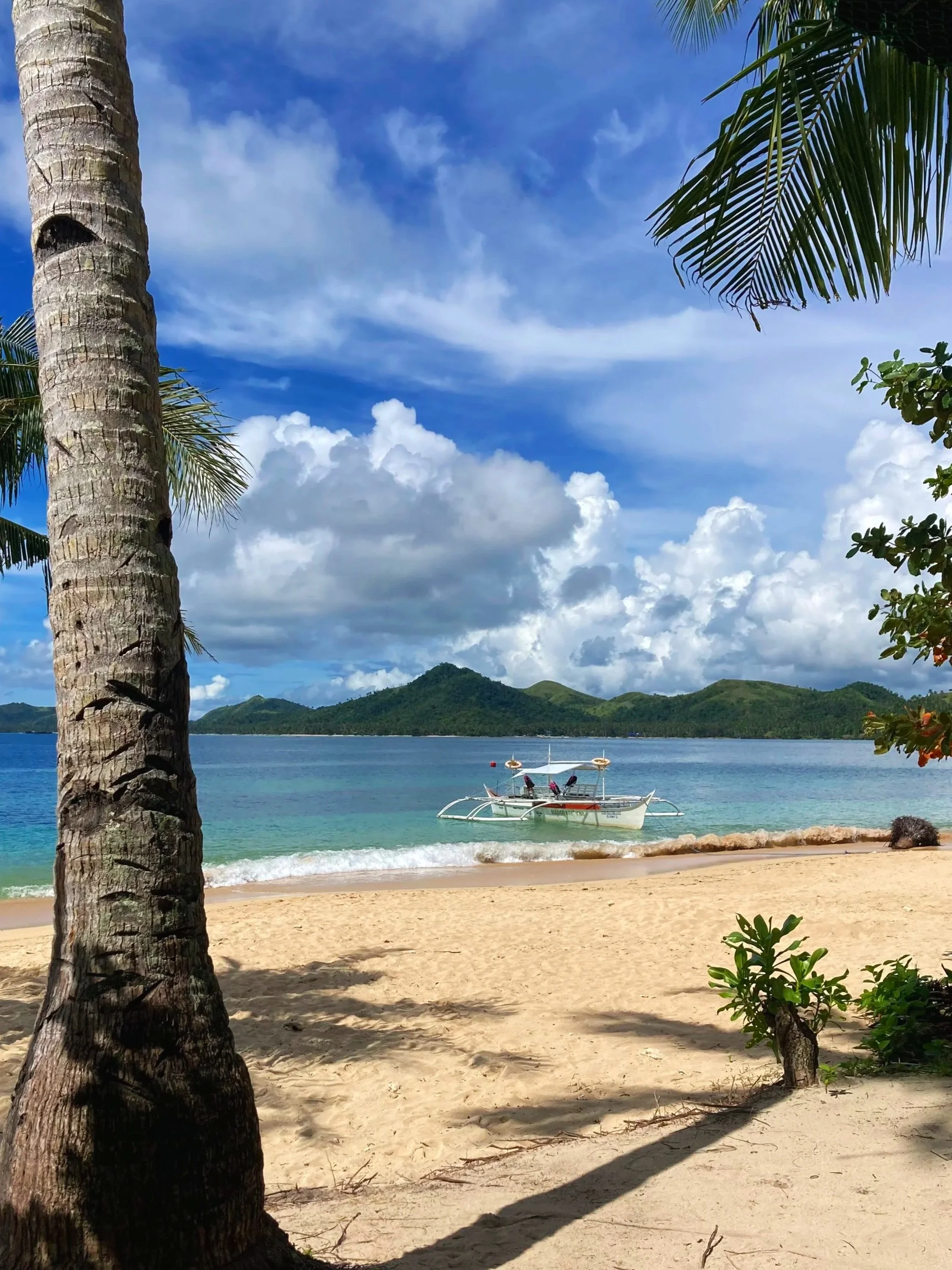 Surf, Skate, Strength, &amp; Mindfulness (Beginner)